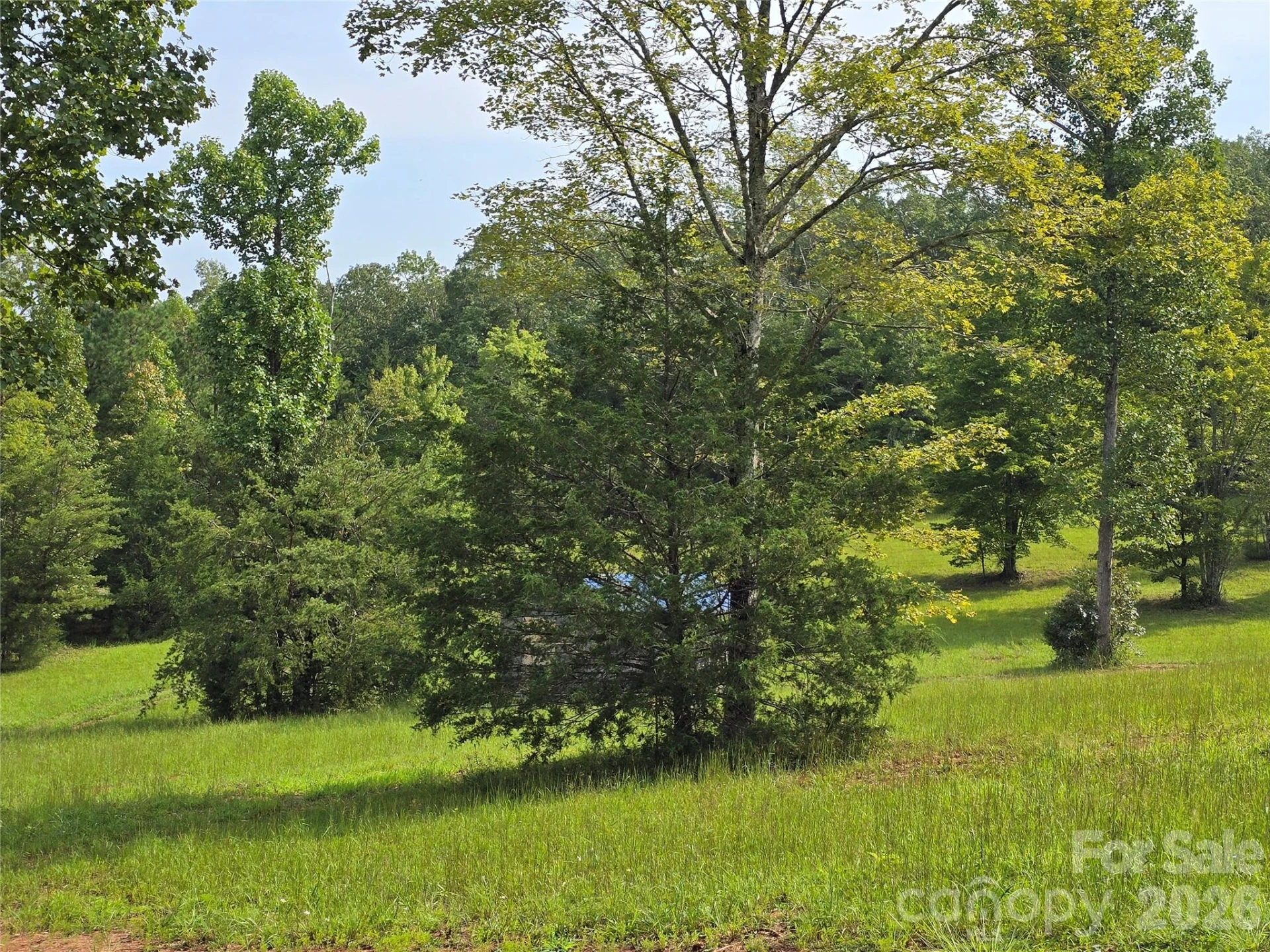 1696 County Line Road - Photo 5