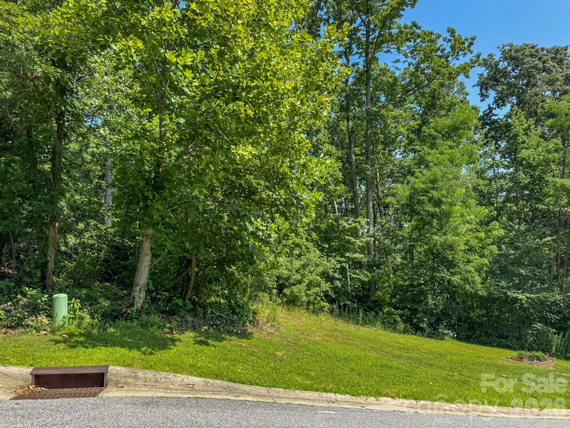 195 Carriage Crest Drive - Photo 2