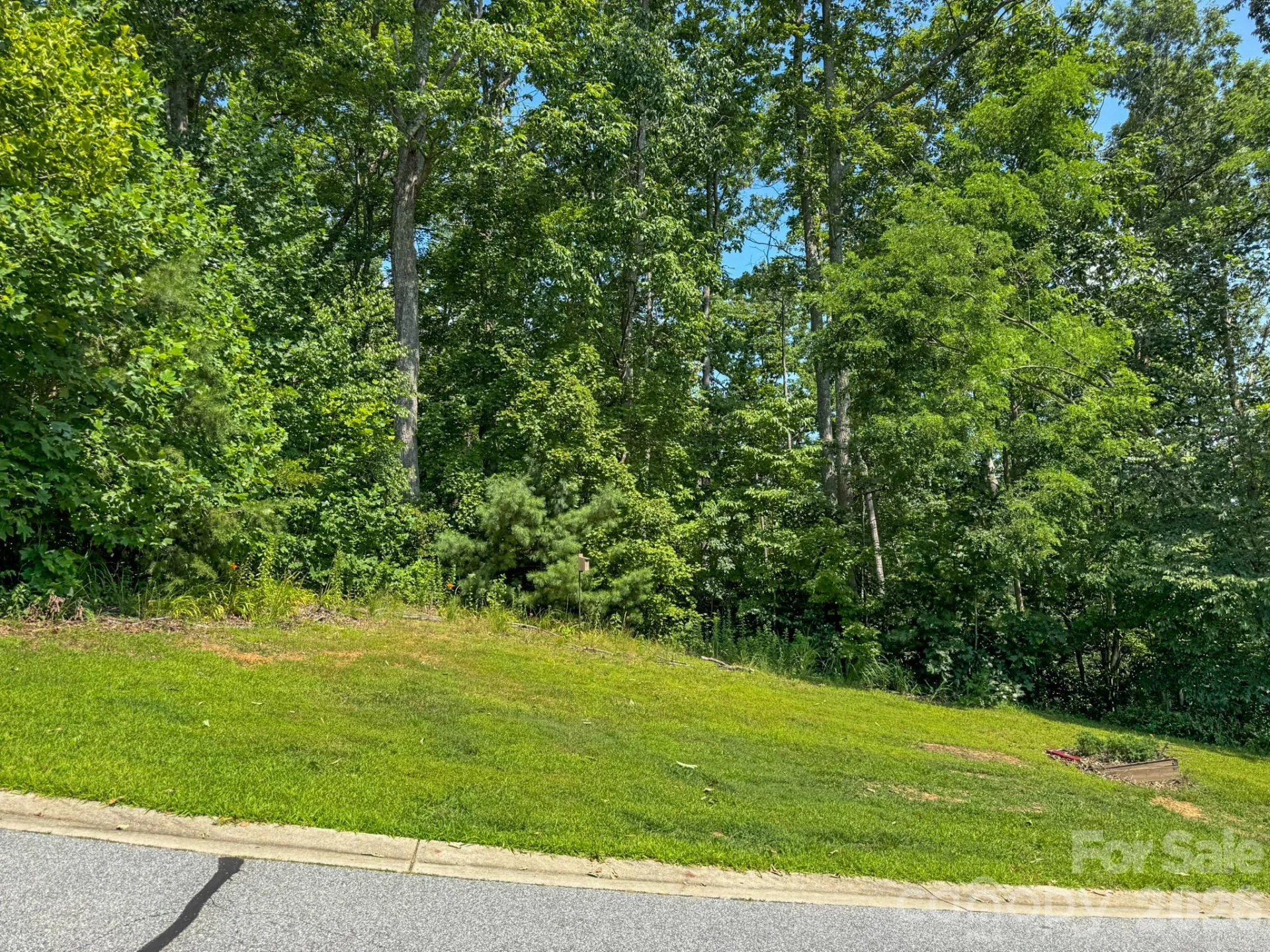 195 Carriage Crest Drive - Photo 3