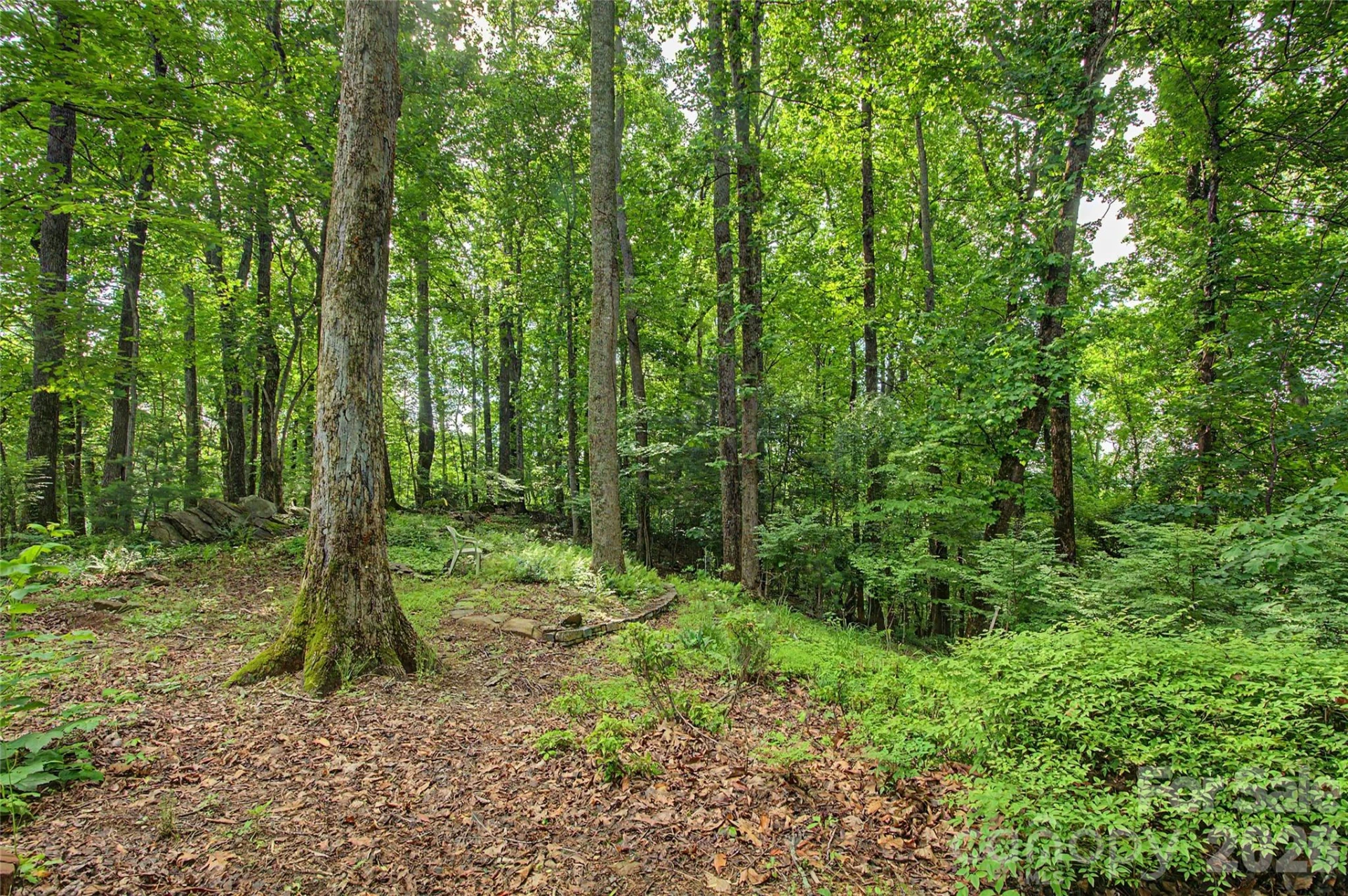 383 Ravenwood Lane #28/31 - Photo 44