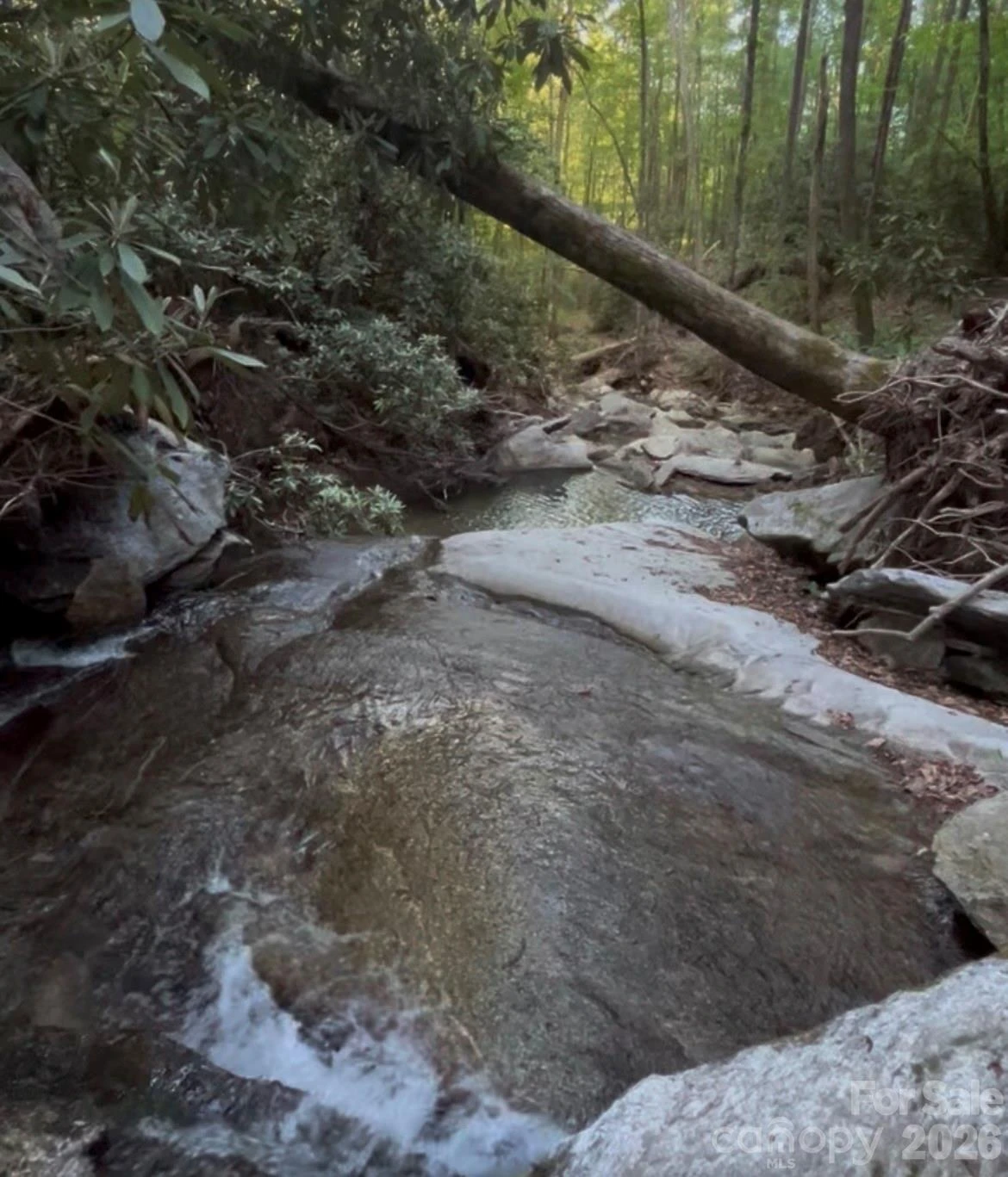 TBD Lot 3 Rush Creek Road - Photo 4