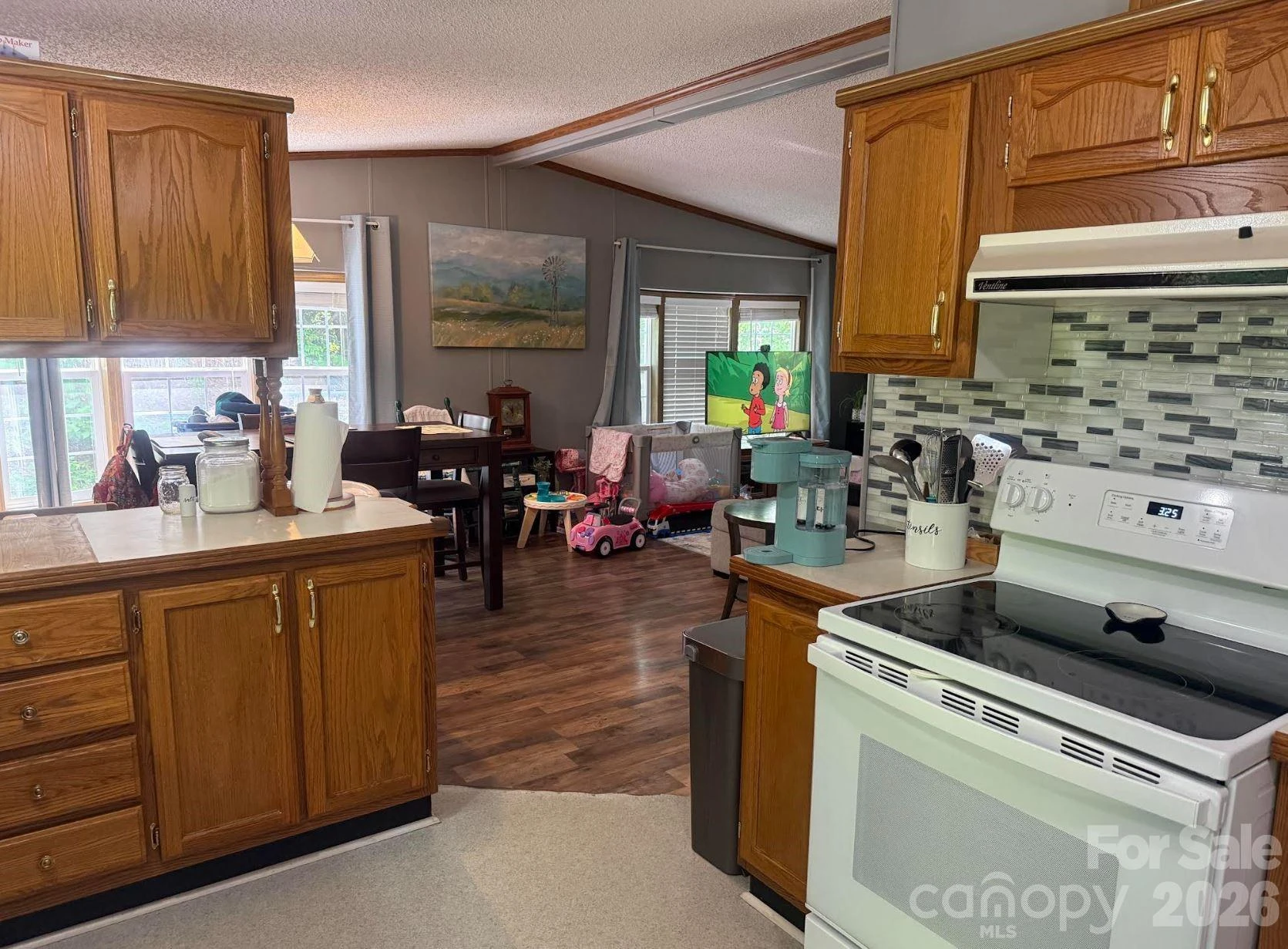 811 Turkey Pen Gap Road - Photo 13