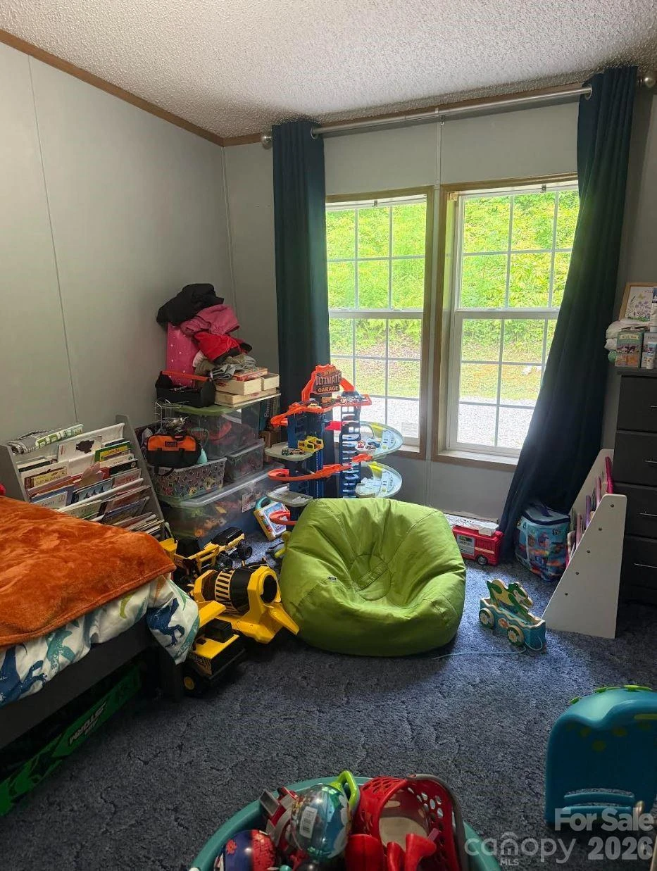 811 Turkey Pen Gap Road - Photo 20