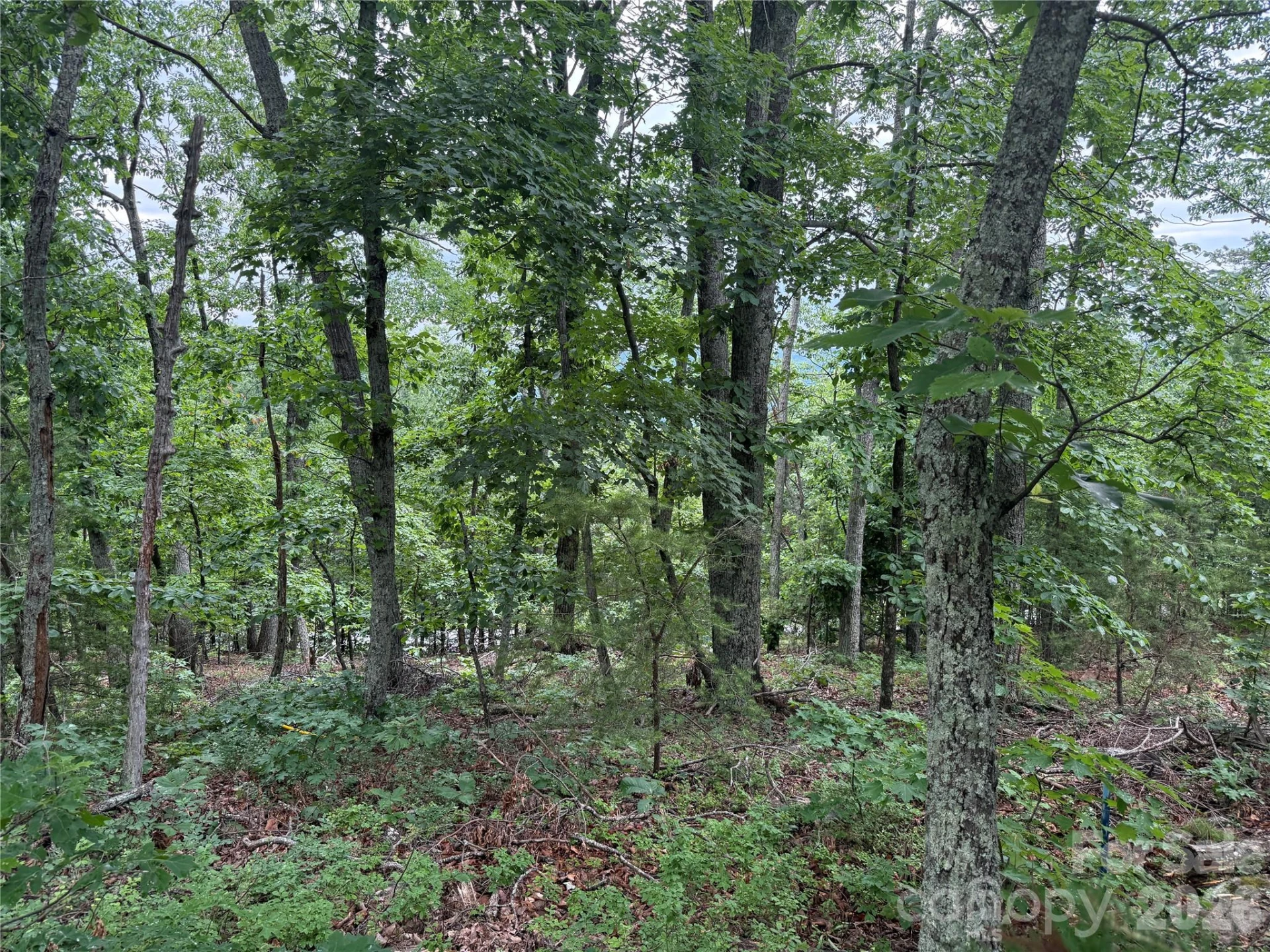 0 Arbra Mountain Way #54 - Photo 2