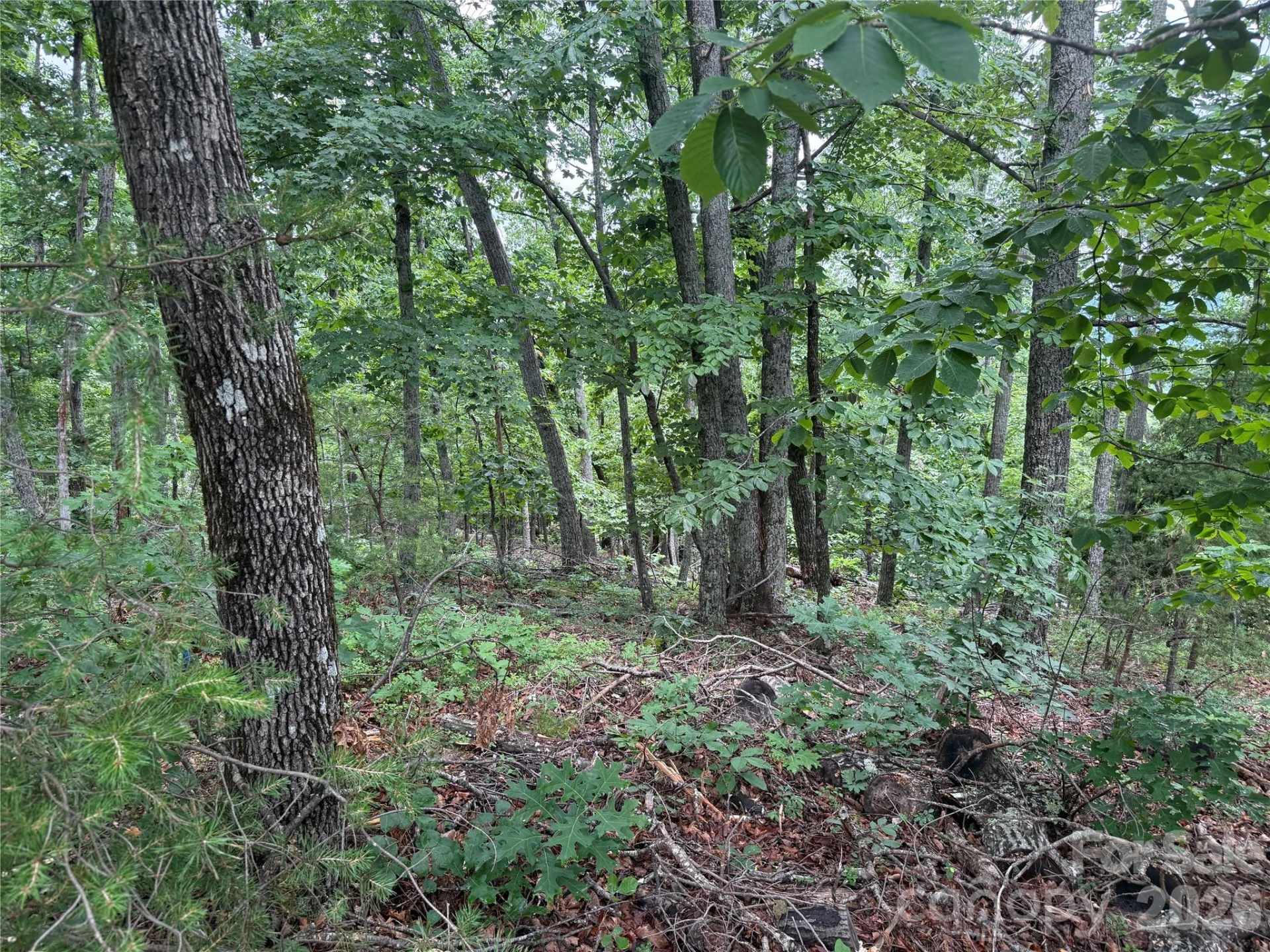 0 Arbra Mountain Way #54 - Photo 4