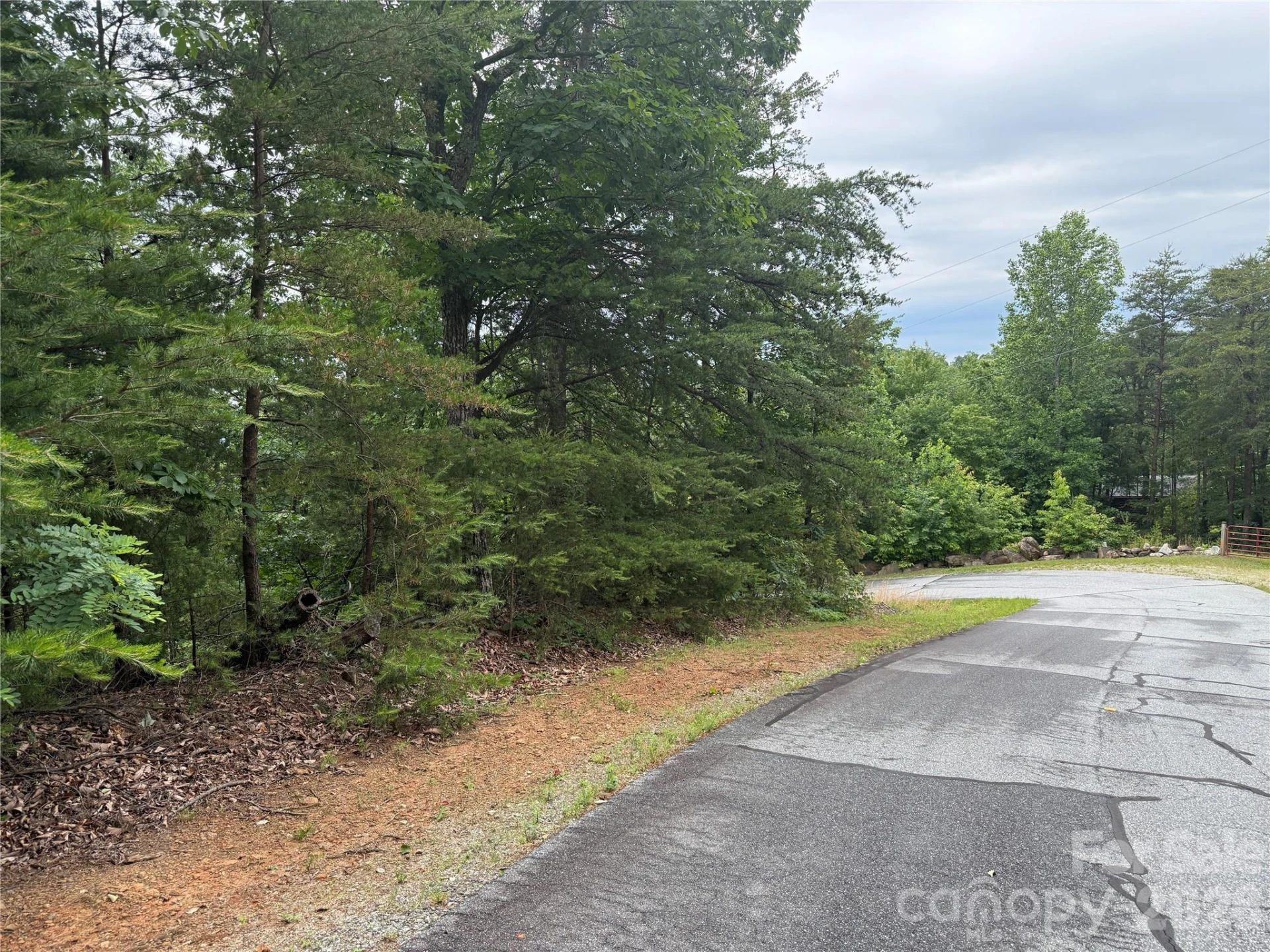 0 Arbra Mountain Way #54 - Photo 7