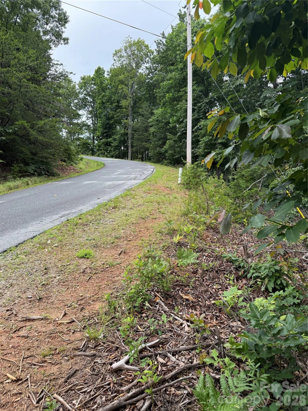 0 Arbra Mountain Way #54 - Photo 8