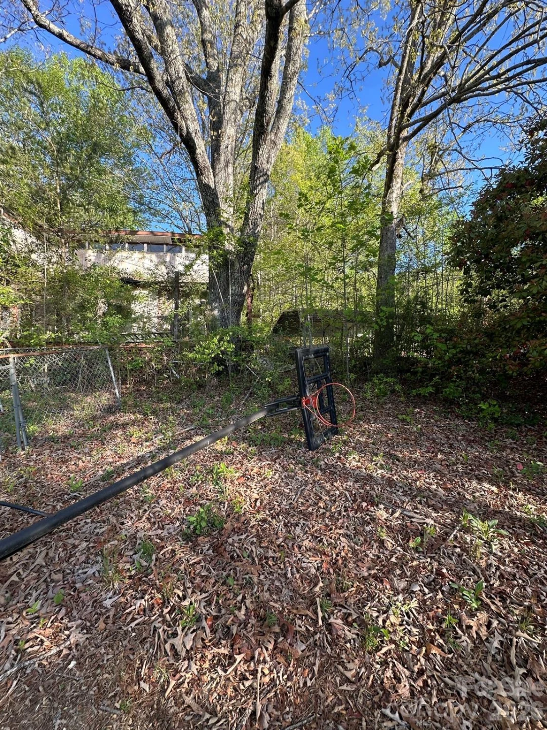 33 Timothy Way - Photo 5