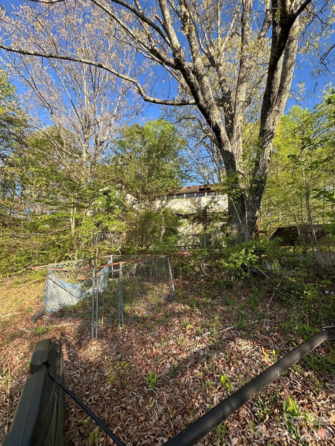 33 Timothy Way - Photo 6