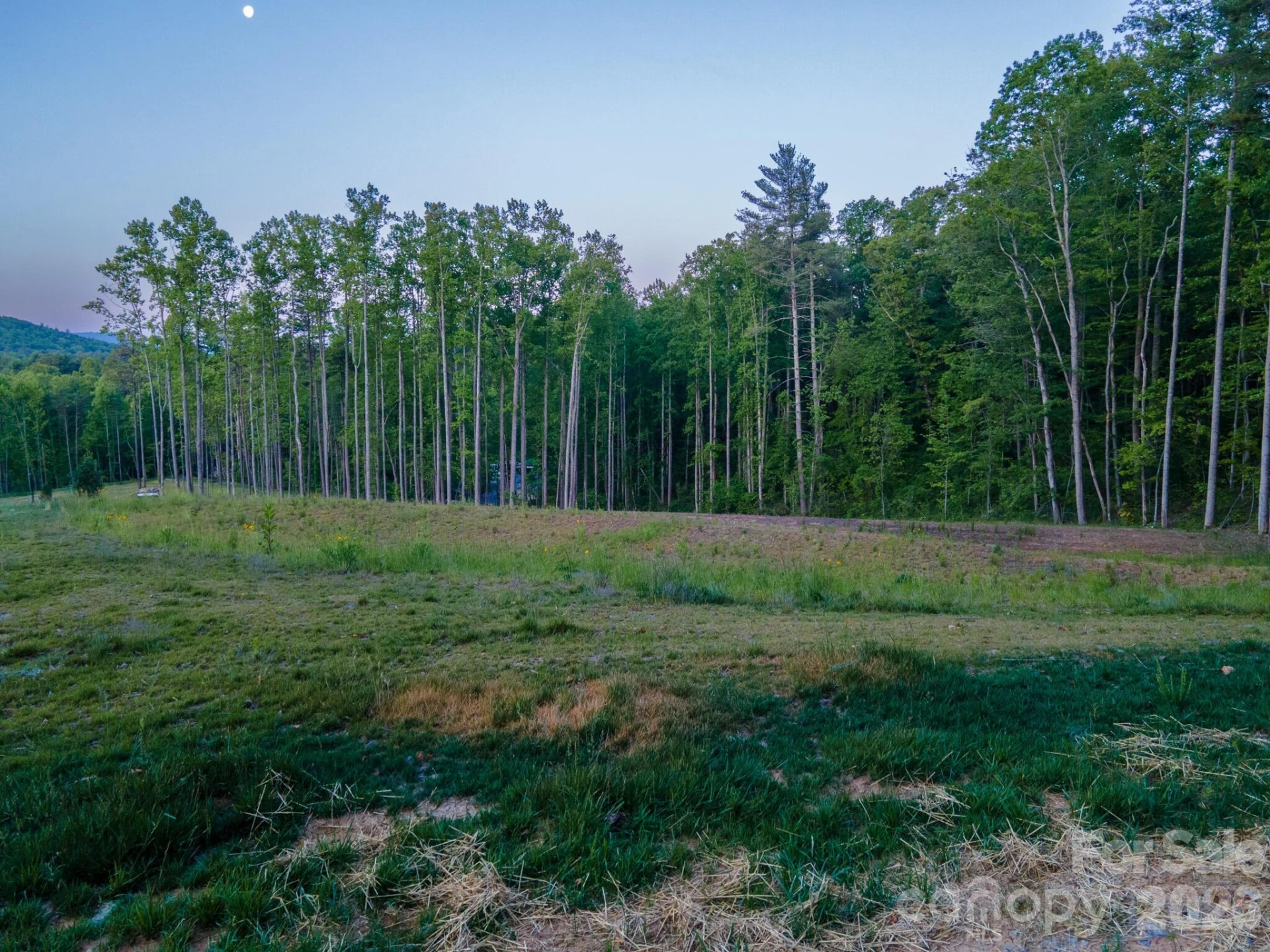 444 Irvine Drive - Photo 3