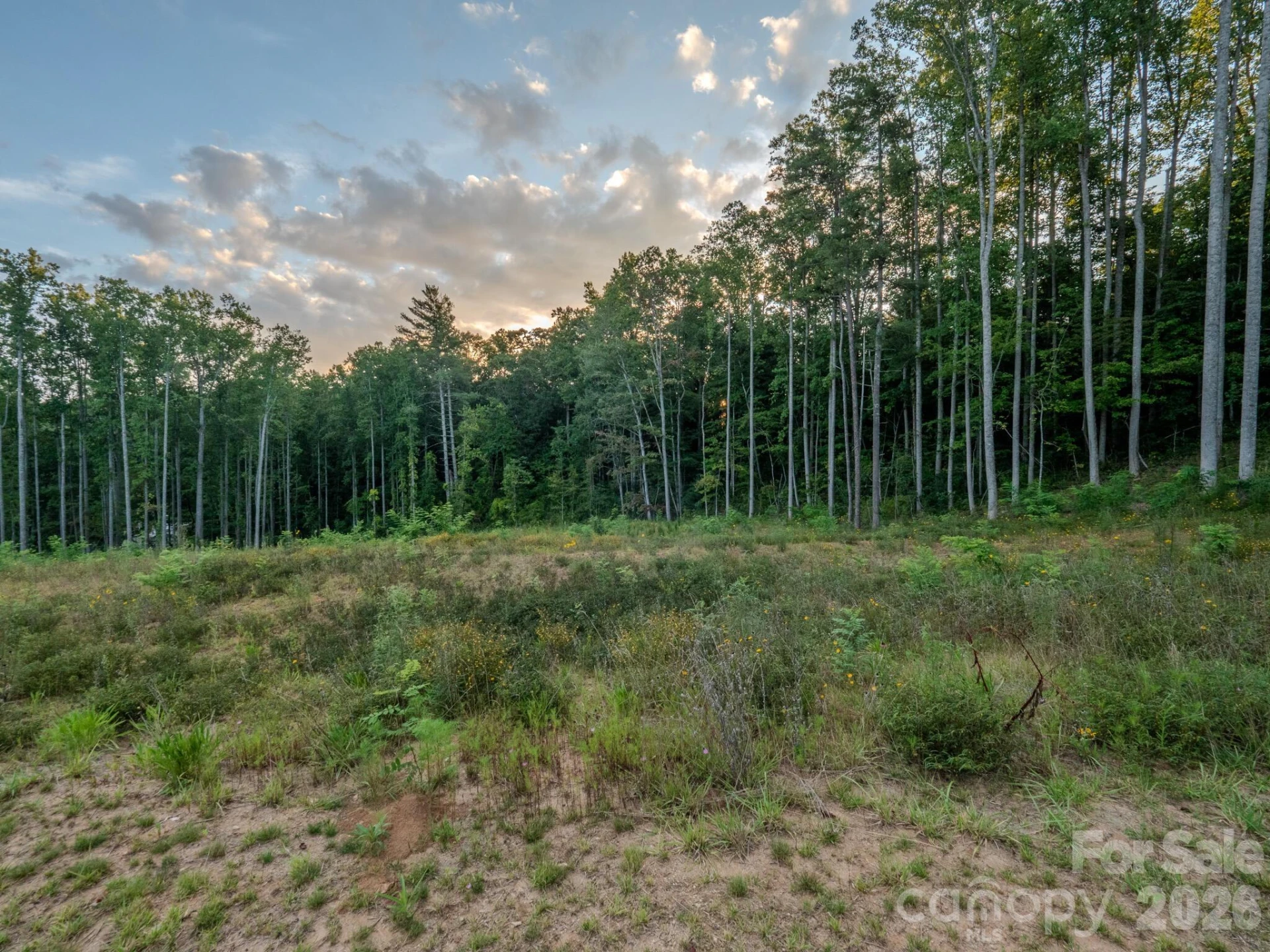 444 Irvine Drive - Photo 6