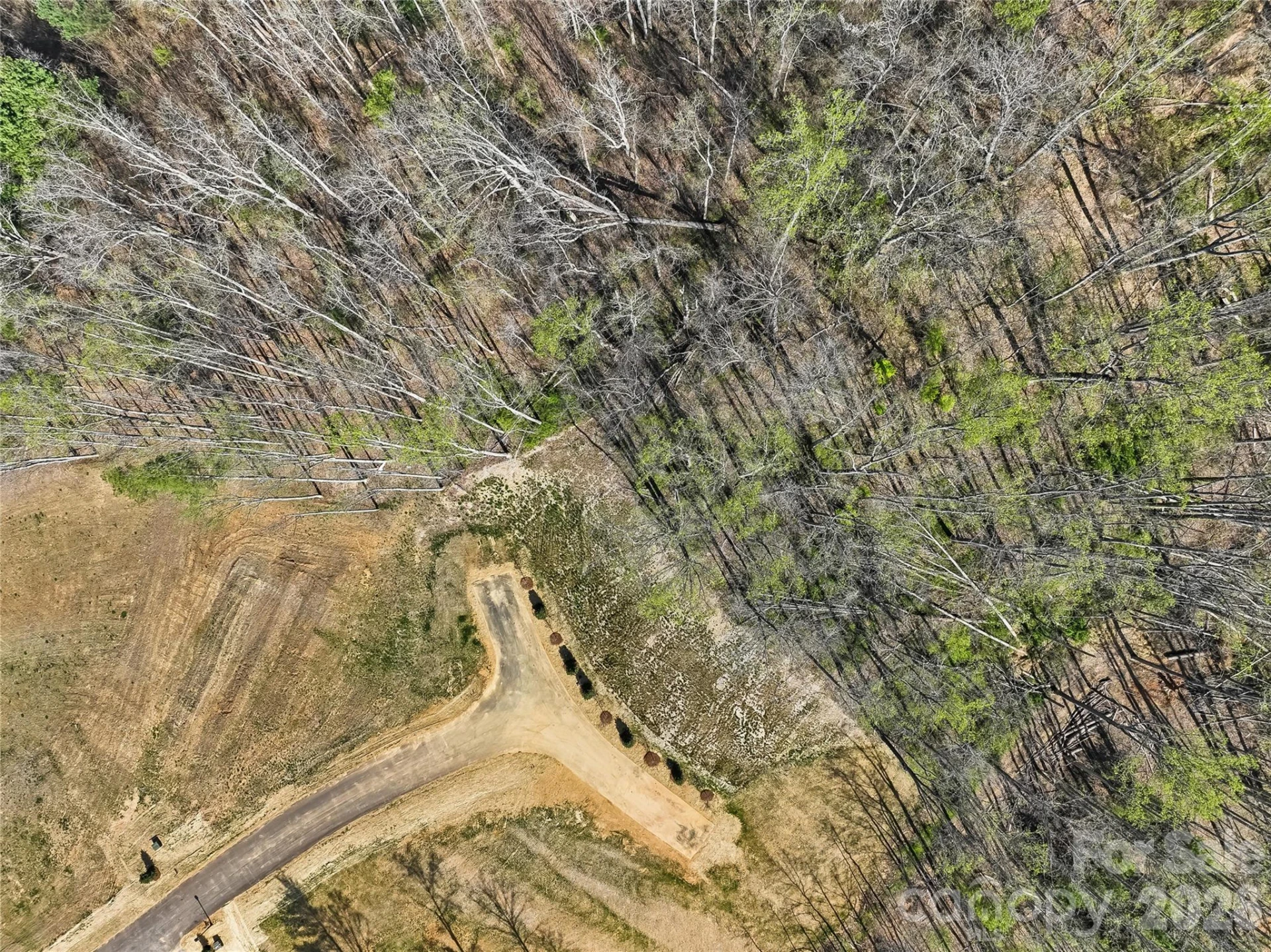 444 Irvine Drive - Photo 6