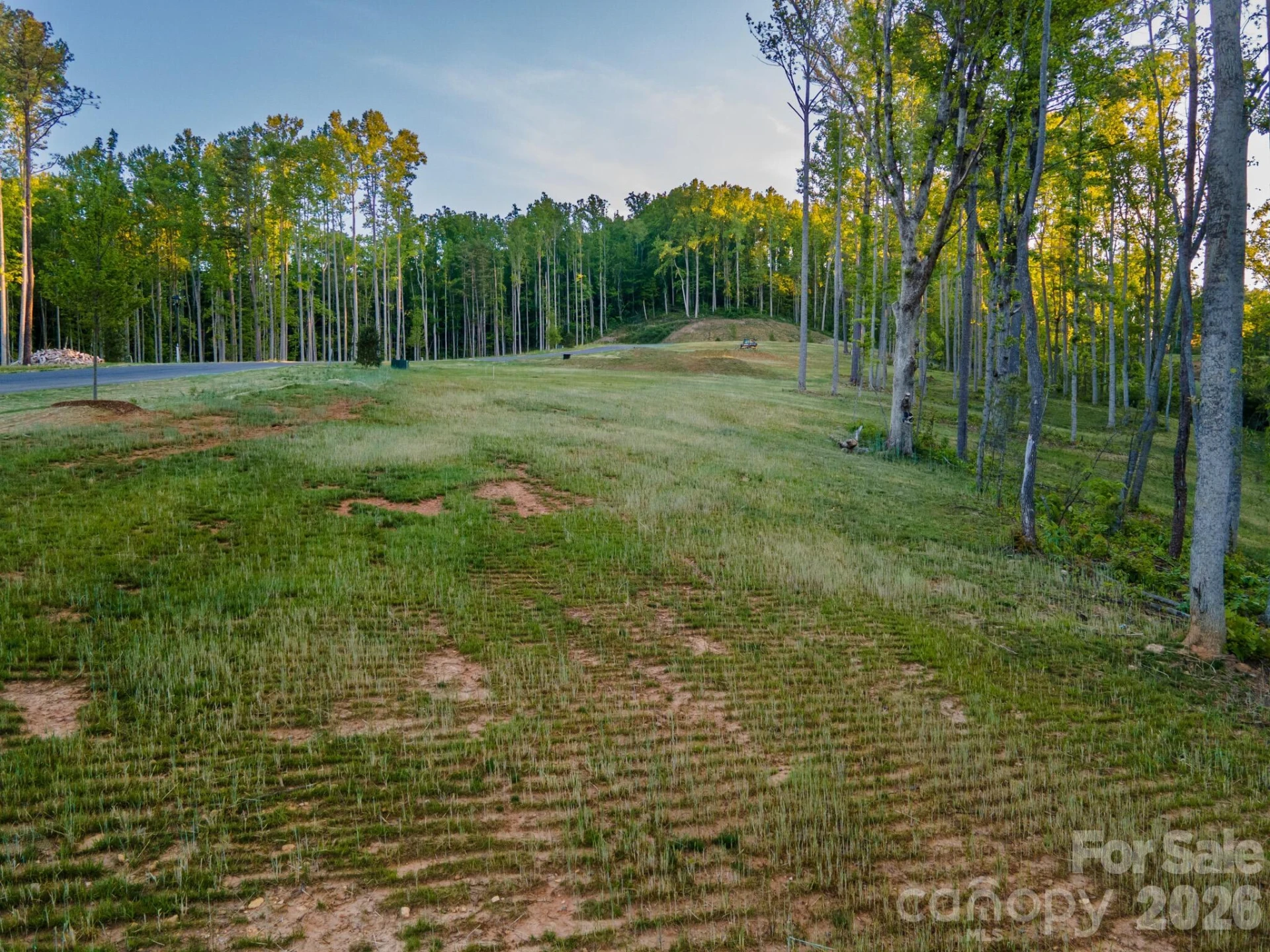415 Fairview Drive - Photo 5