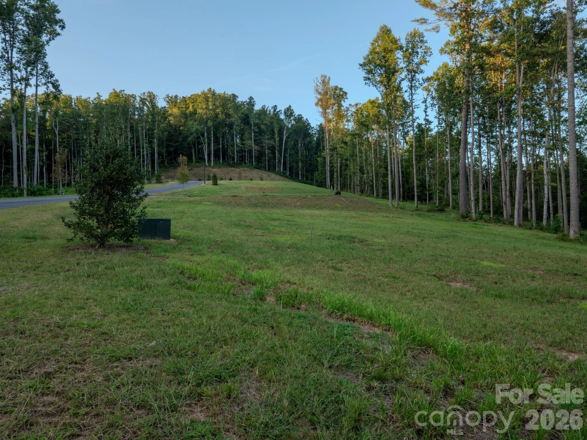 425 Irvine Drive - Photo 3