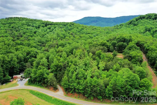 000 Laughter Road, Mill Spring, NC, 28756
