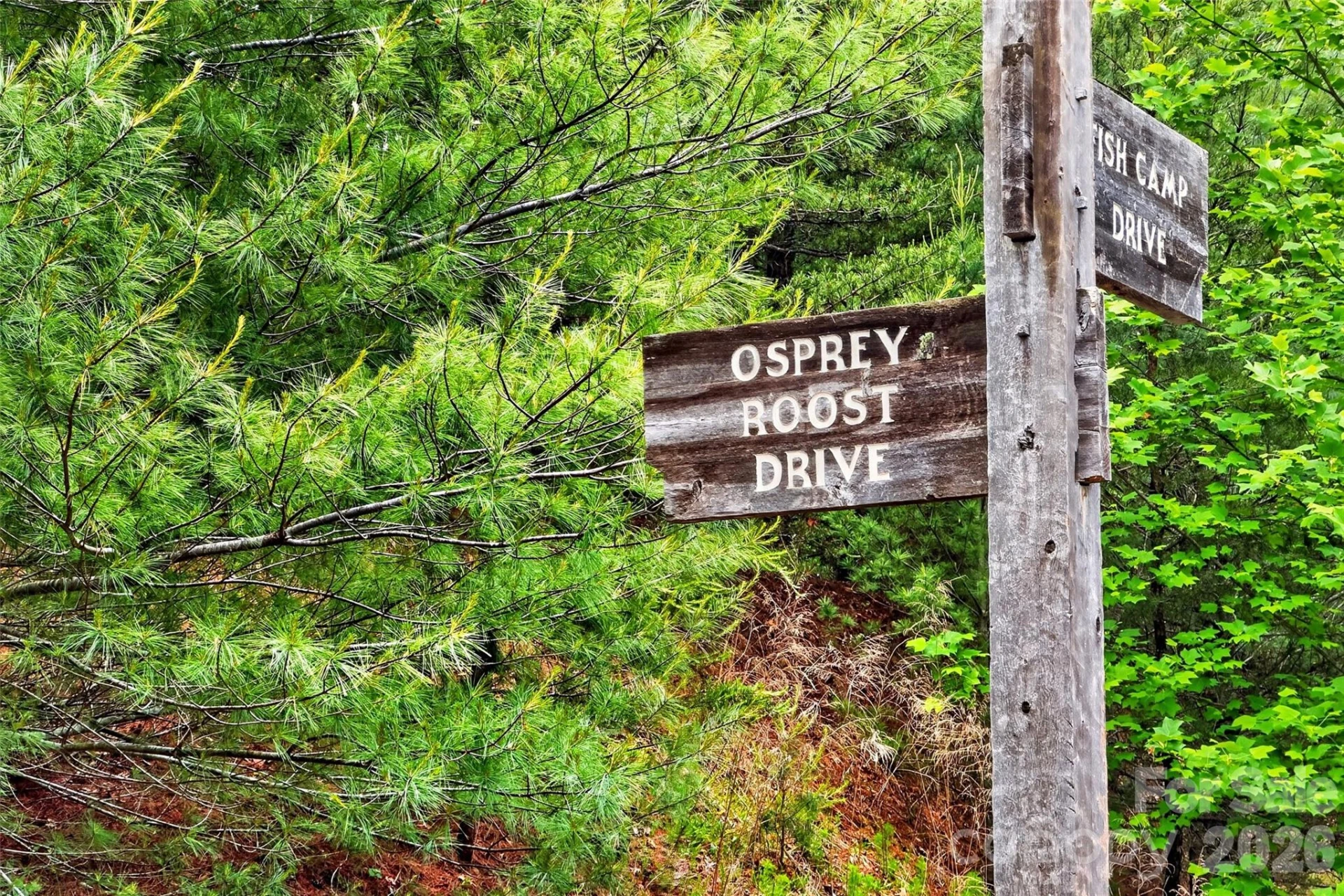 159 Osprey Roost Drive - Photo 32