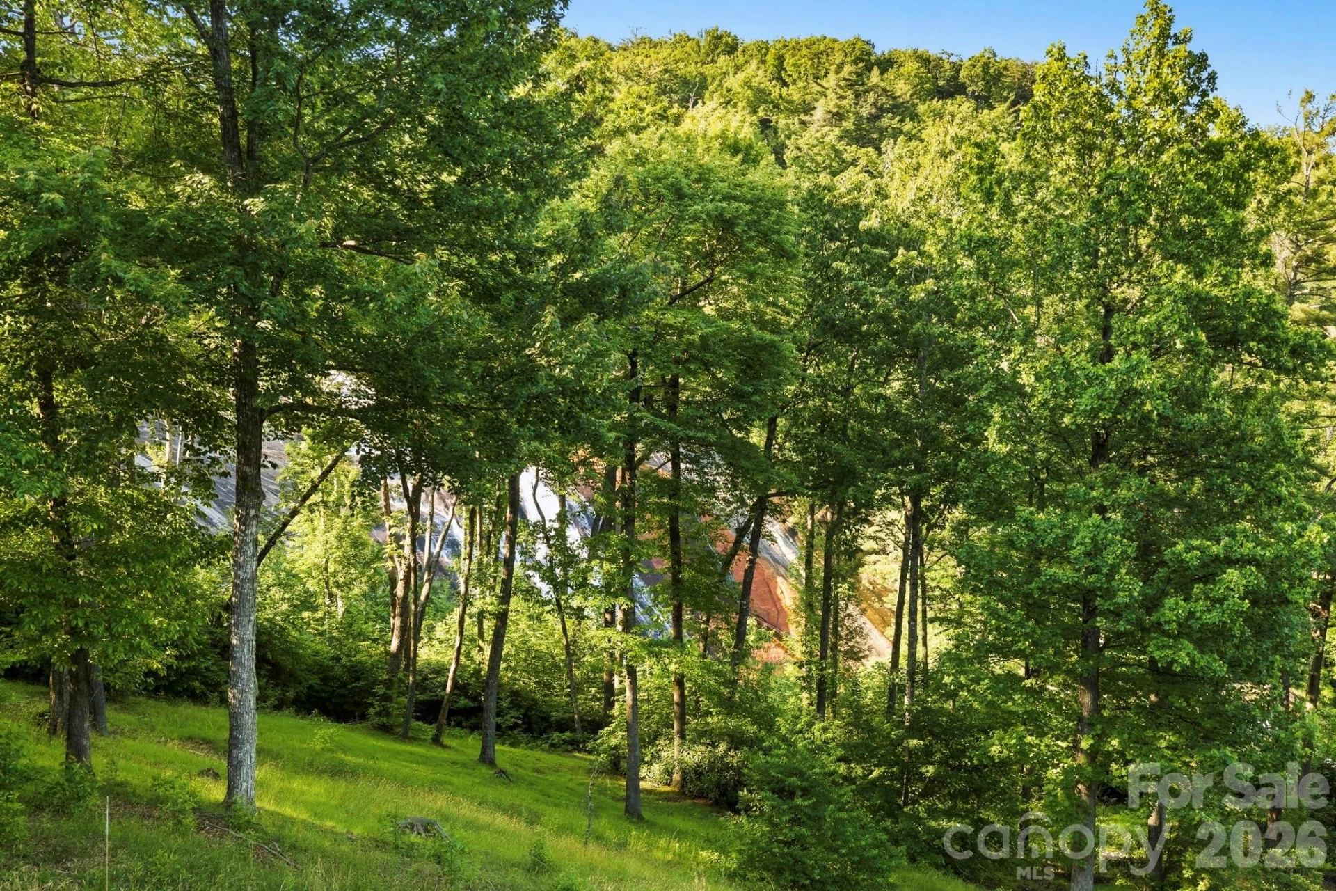 30 Lower Tanglewood Road #2 - Photo 3