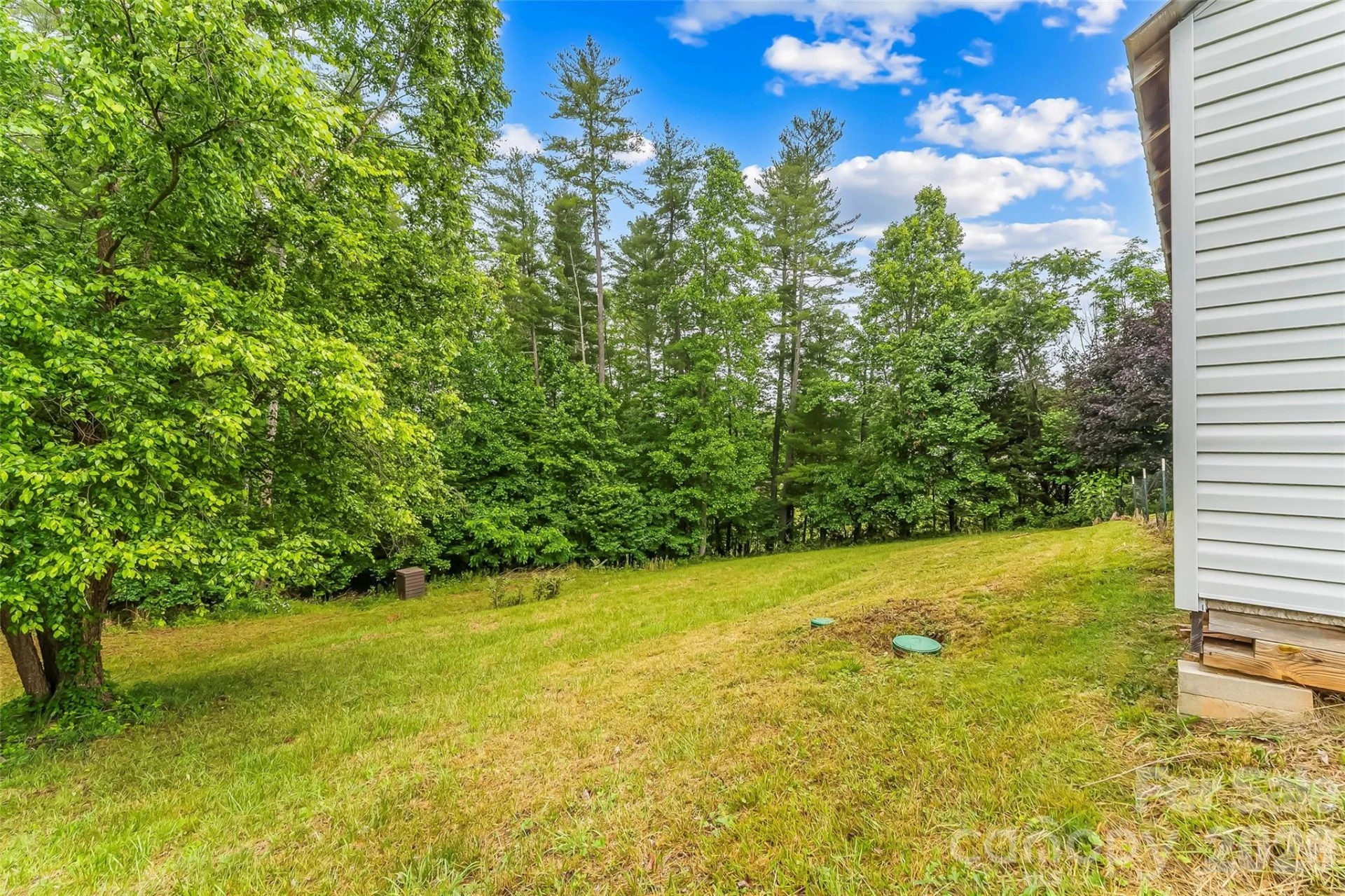2610 Bear Creek Road - Photo 21