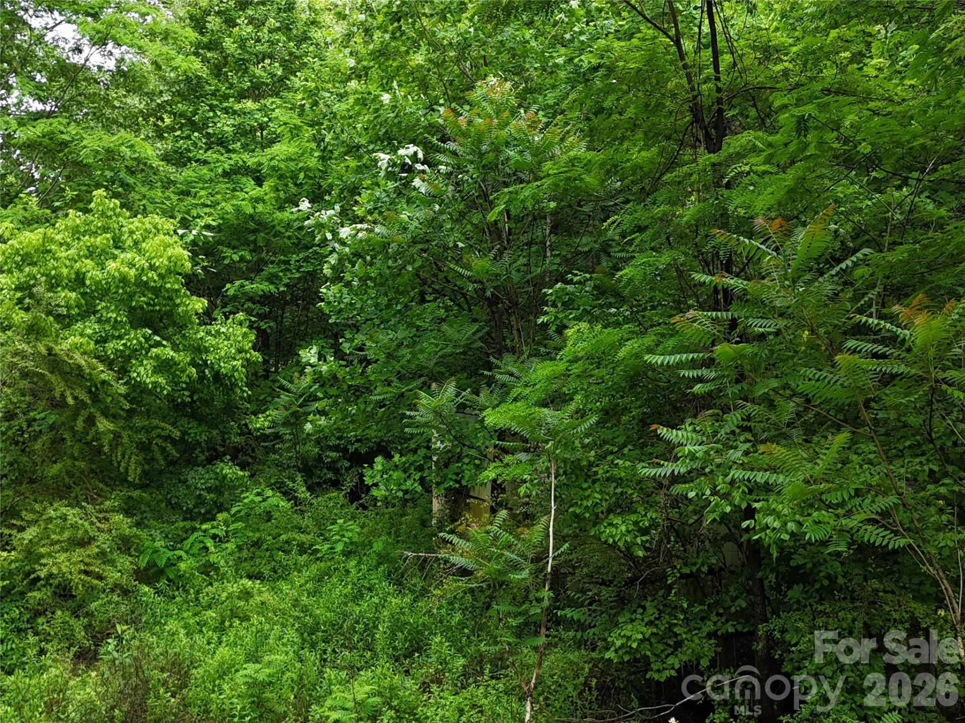 83 Shanty Town Road - Photo 7