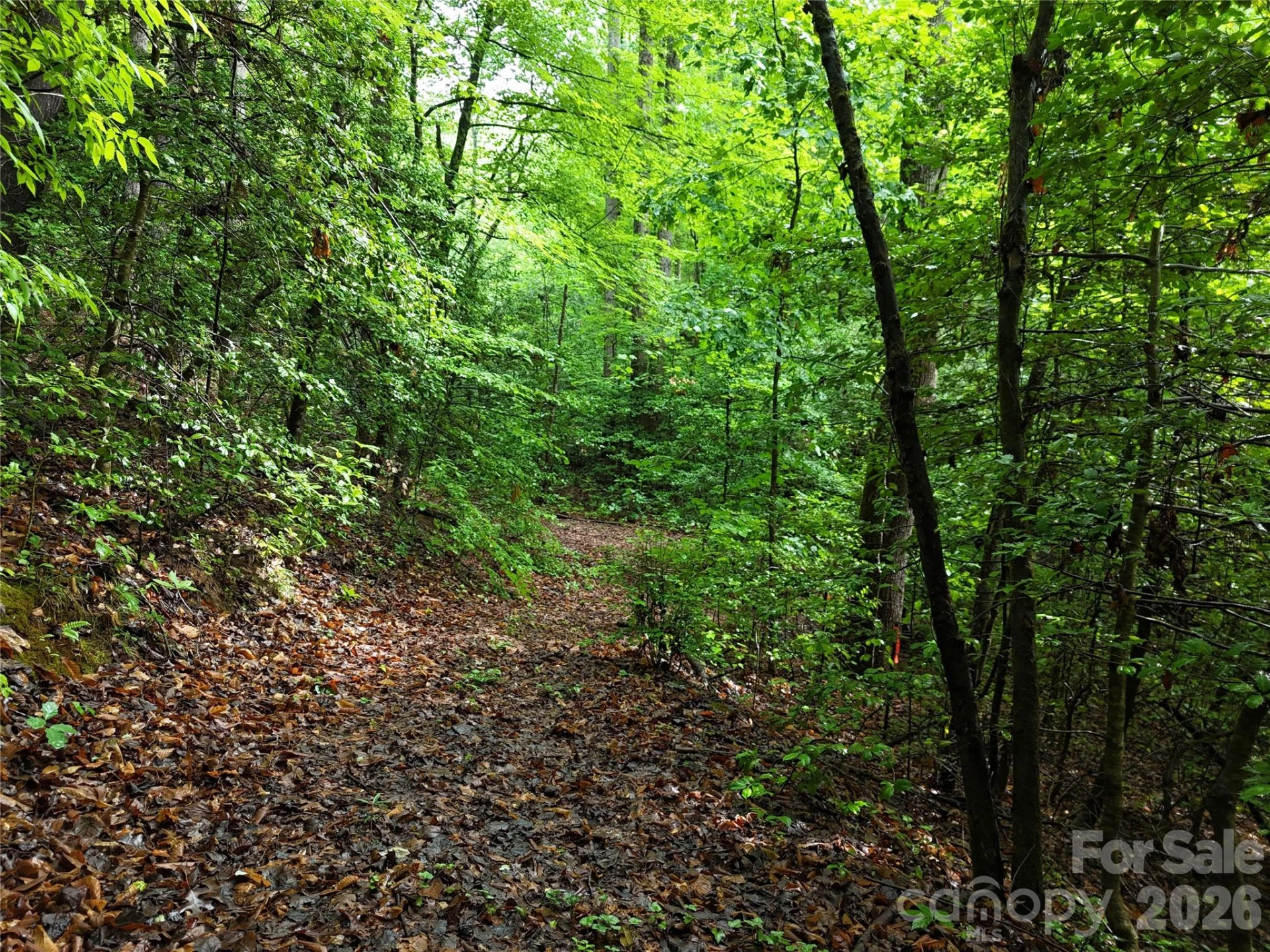 83 Shanty Town Road - Photo 8