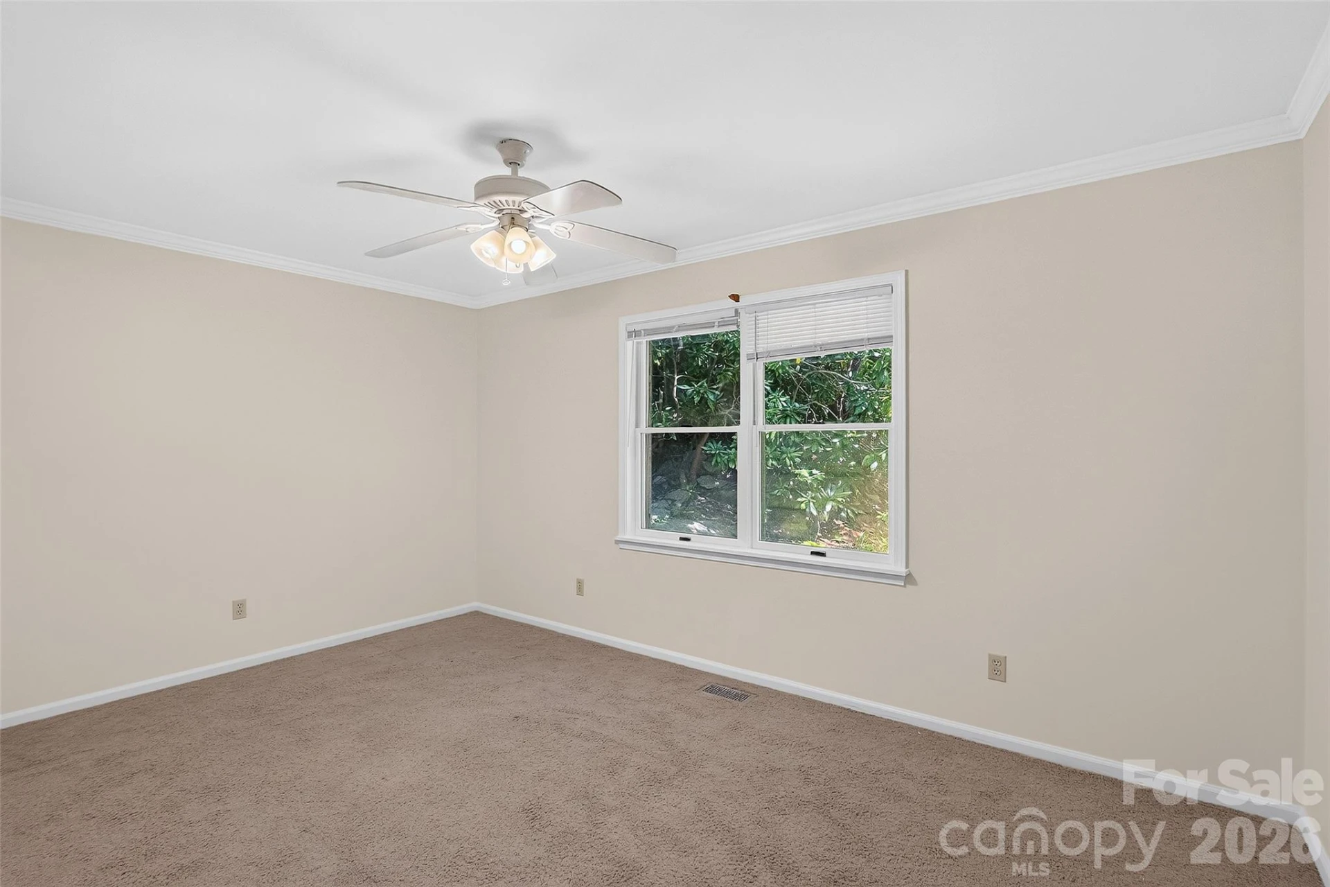 709 Forest Ridge Drive - Photo 19