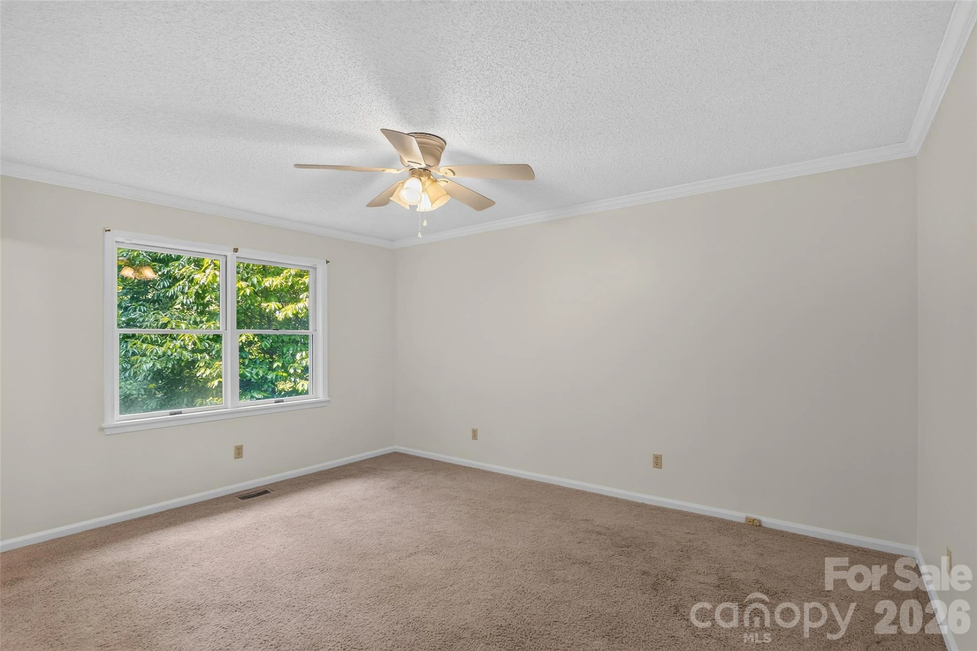 709 Forest Ridge Drive - Photo 21