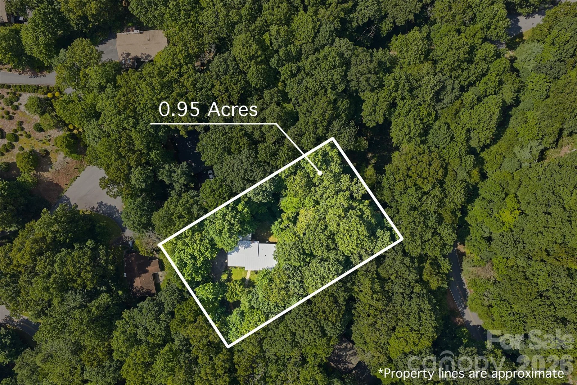 709 Forest Ridge Drive - Photo 28