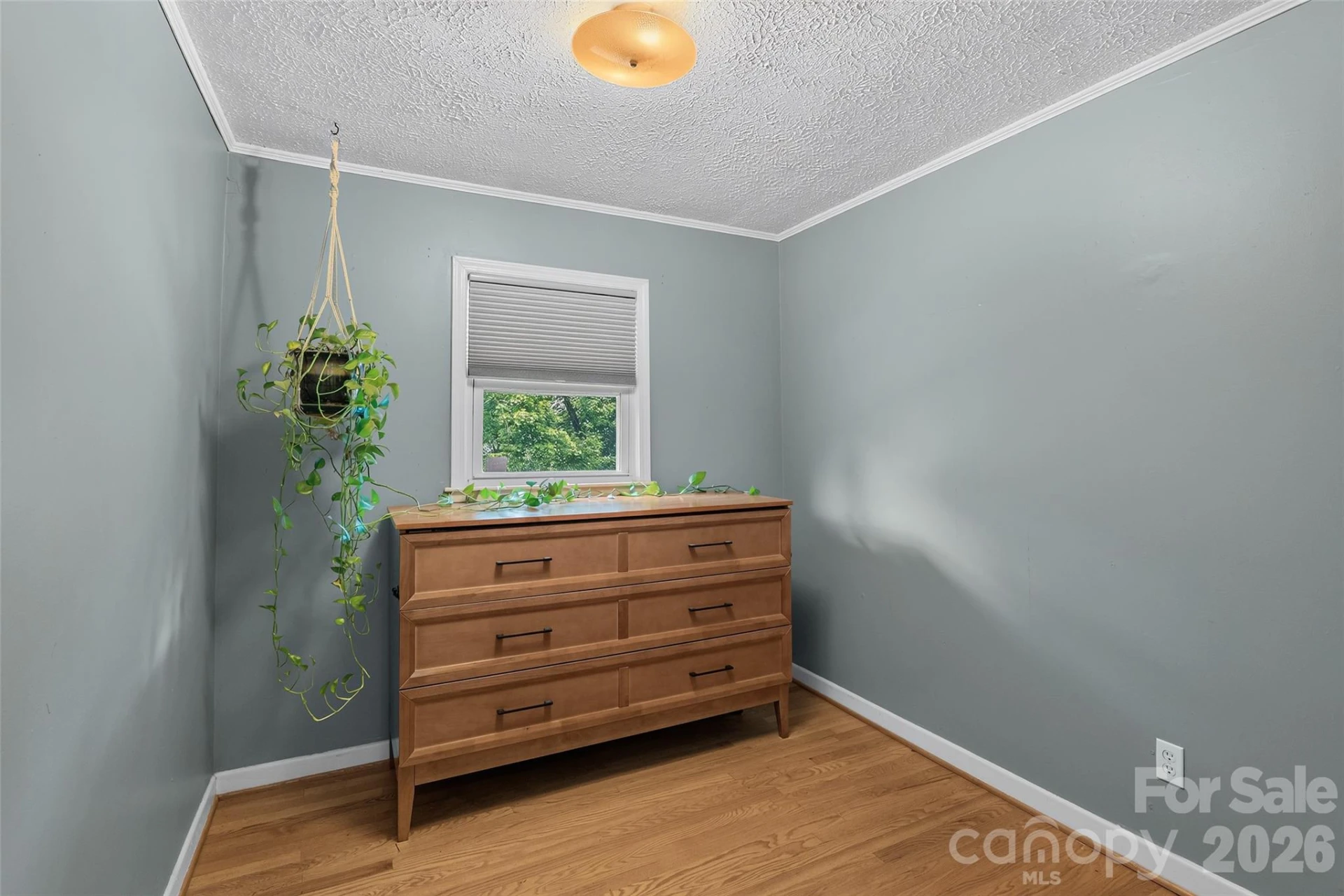17 Azalea Road - Photo 13