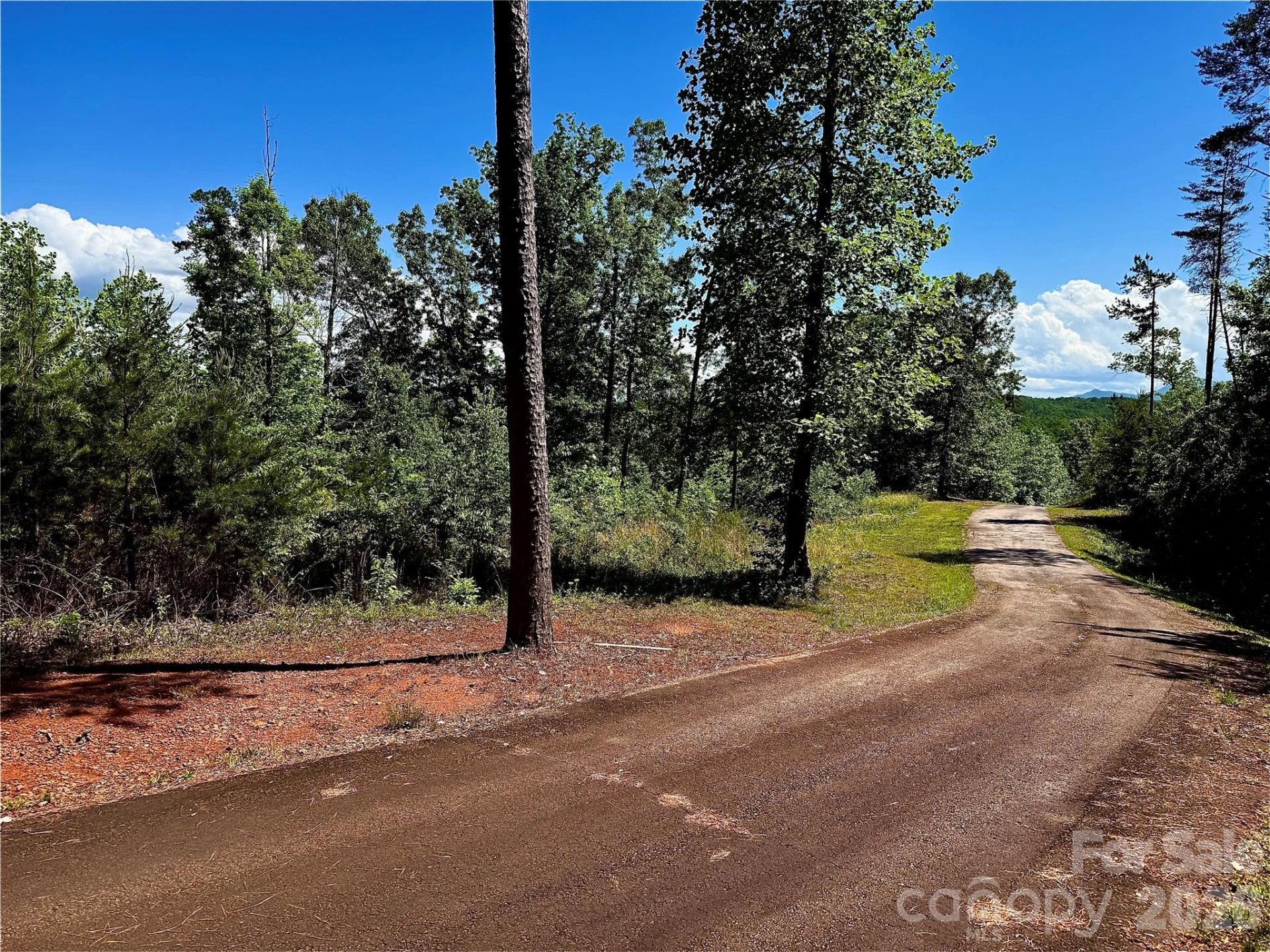 Lot 261 Rock Ledge Drive - Photo 4