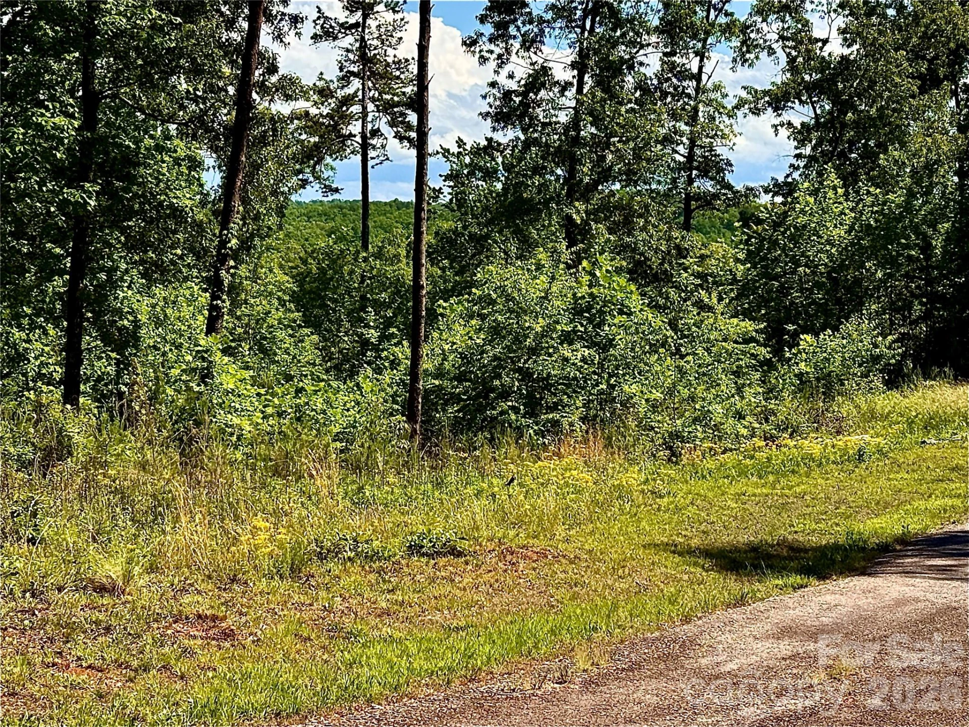 Lot 261 Rock Ledge Drive - Photo 5