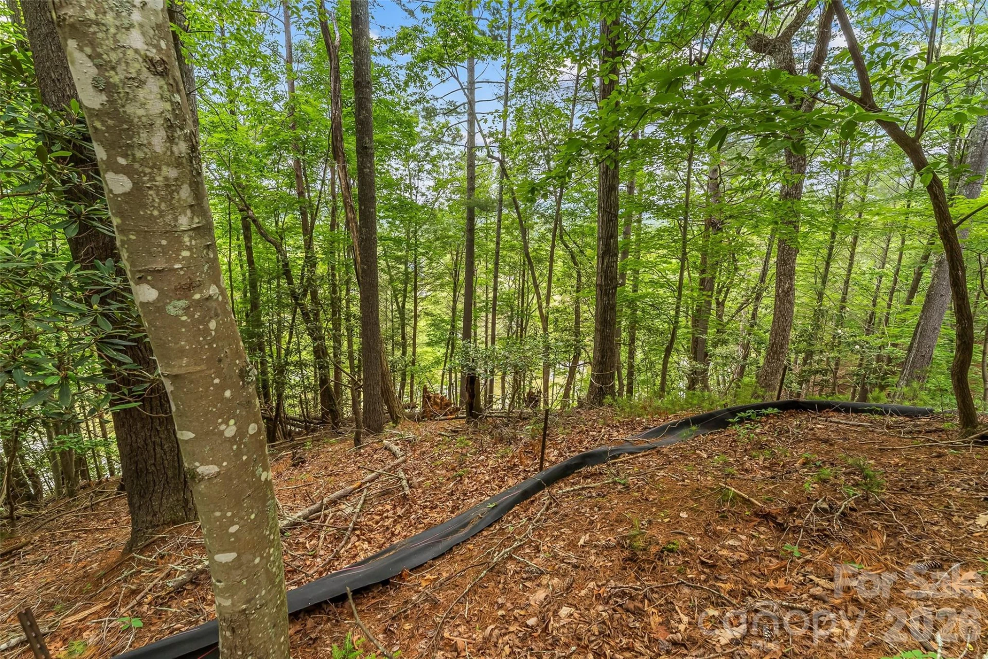 130 Settlement Ridge Drive #48 - Photo 26