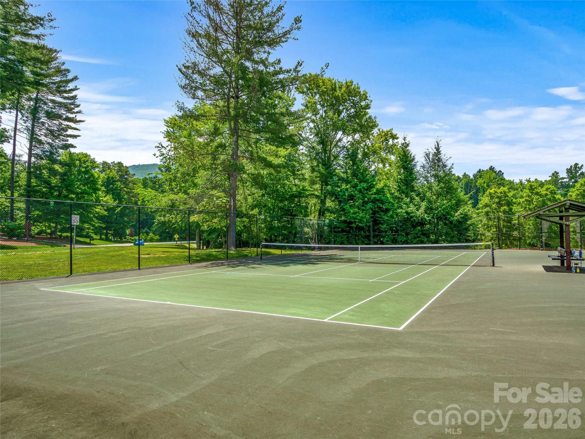 907 Kells Blue Court - Photo 48