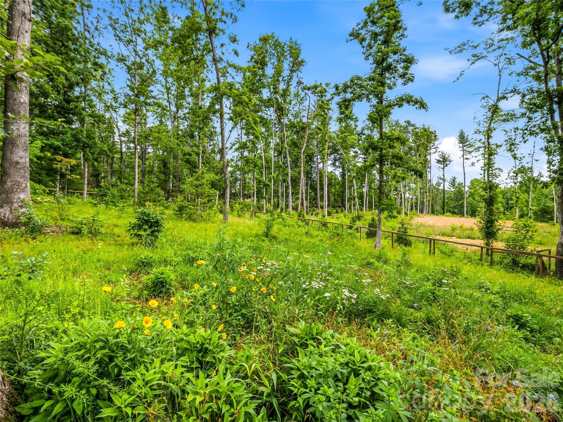 22 Timberleaf Drive - Photo 33
