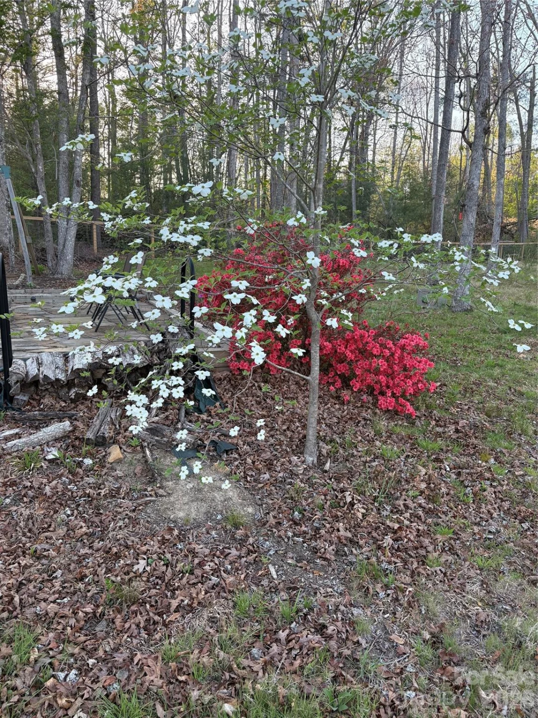 22 Timberleaf Drive - Photo 46