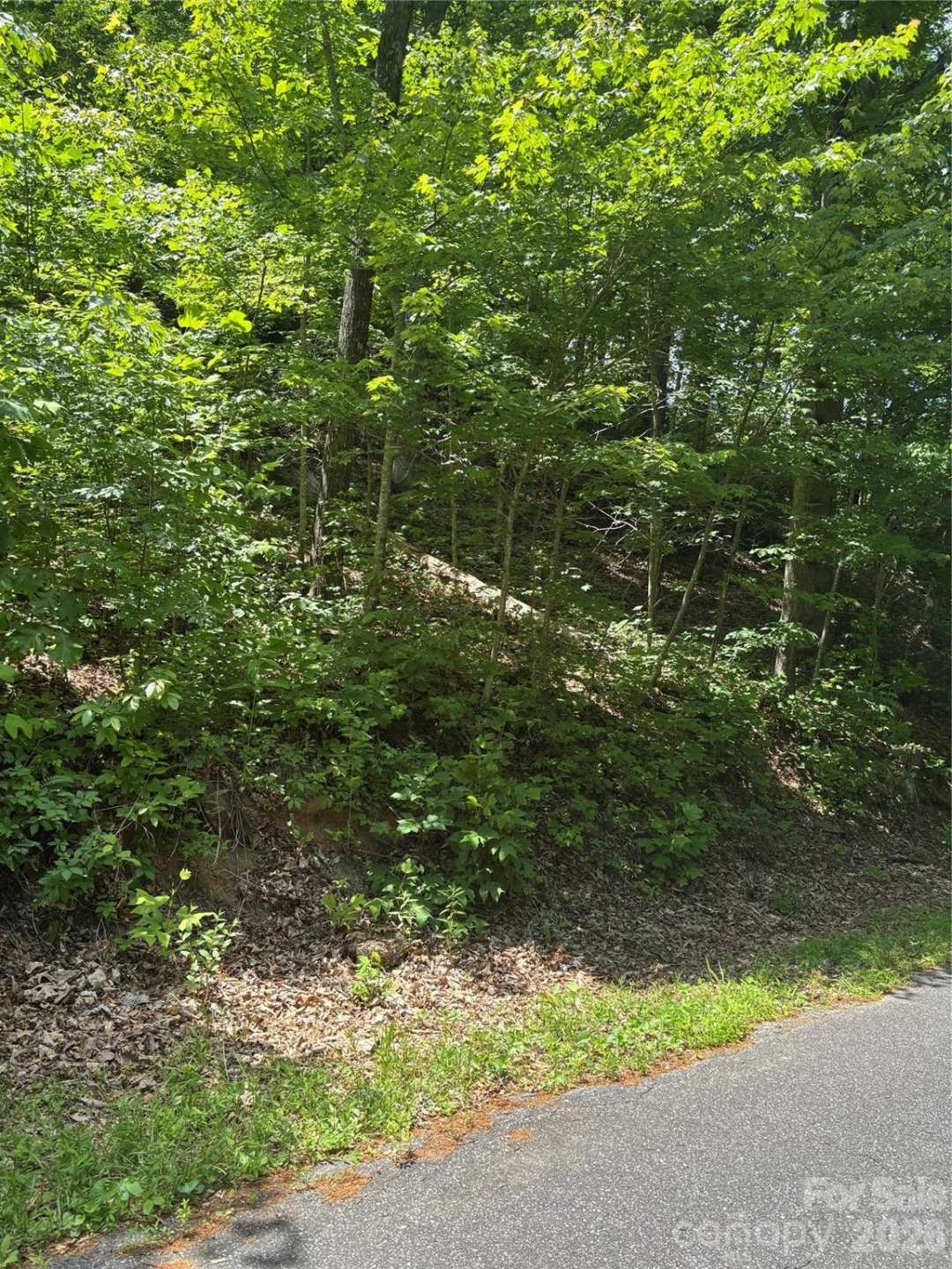 0 Lower Collier Cobb Drive - Photo 11