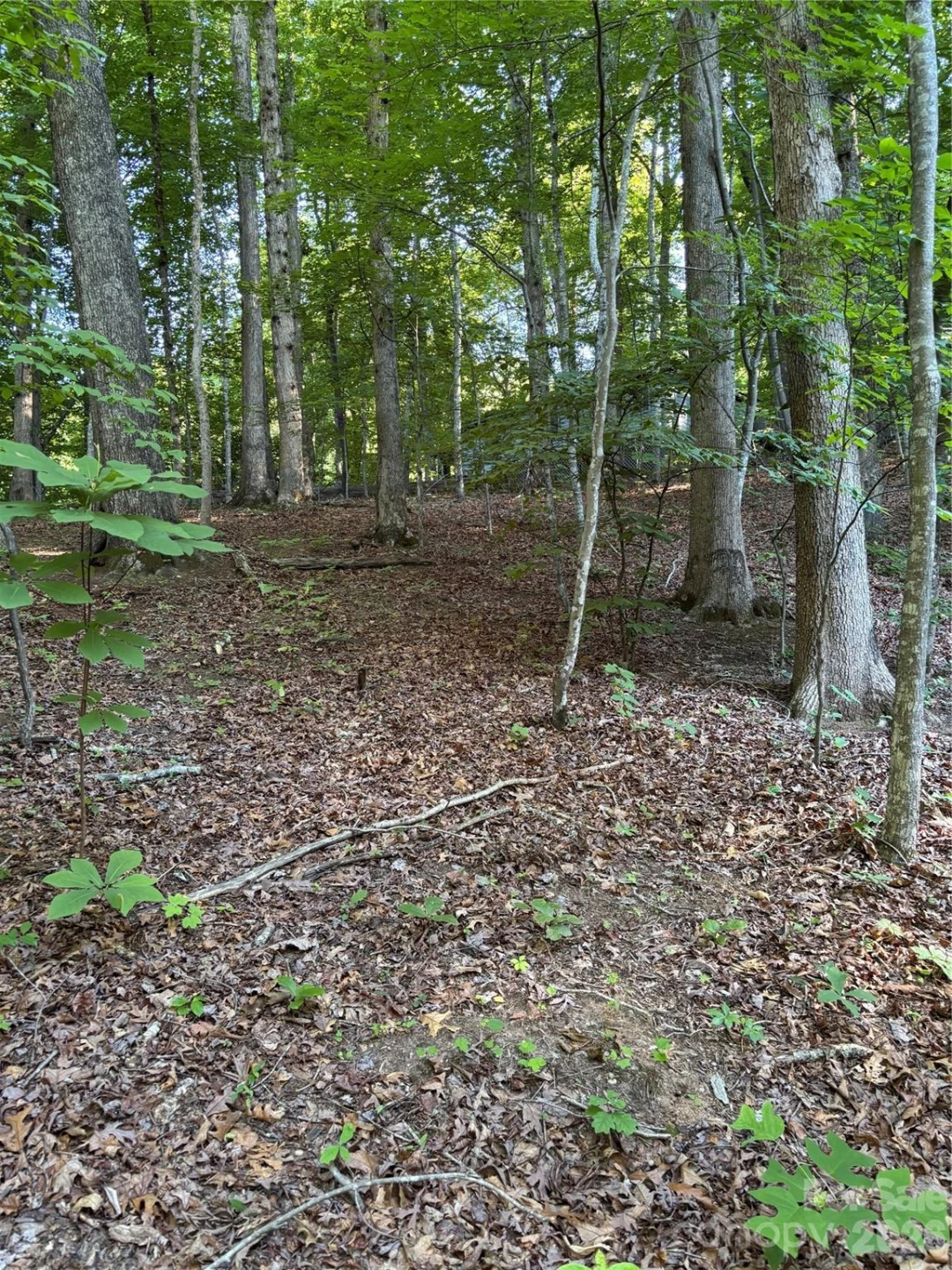 0 Lower Collier Cobb Drive - Photo 16