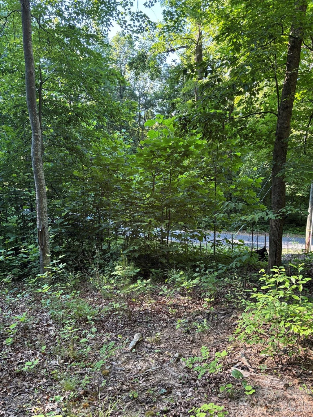 0 Lower Collier Cobb Drive - Photo 17