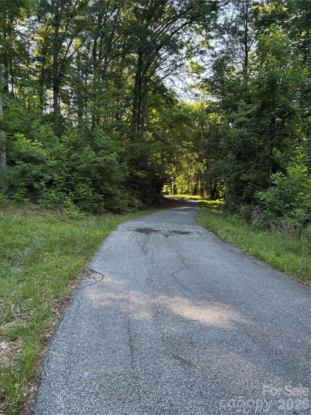 0 Lower Collier Cobb Drive - Photo 20