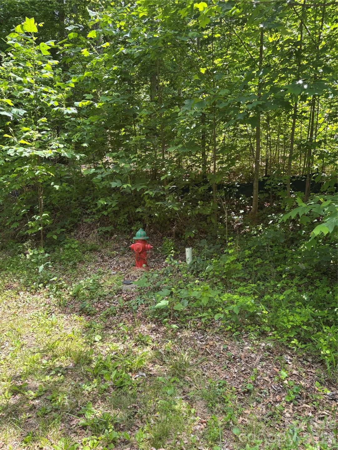 0 Lower Collier Cobb Drive - Photo 8