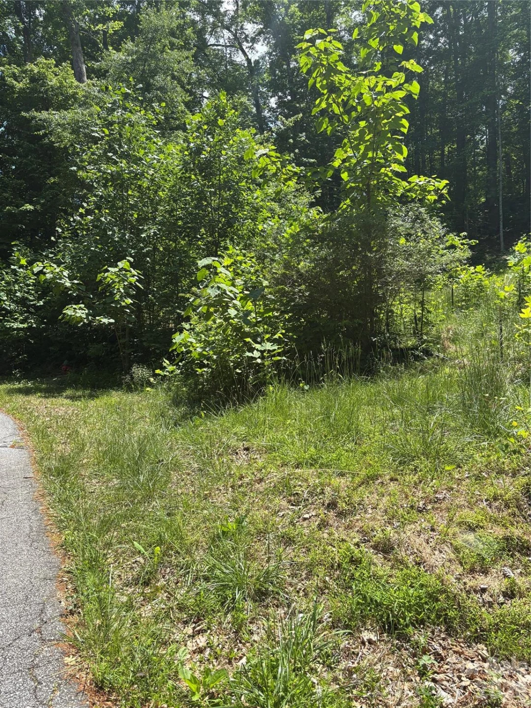 0 Lower Collier Cobb Drive - Photo 10