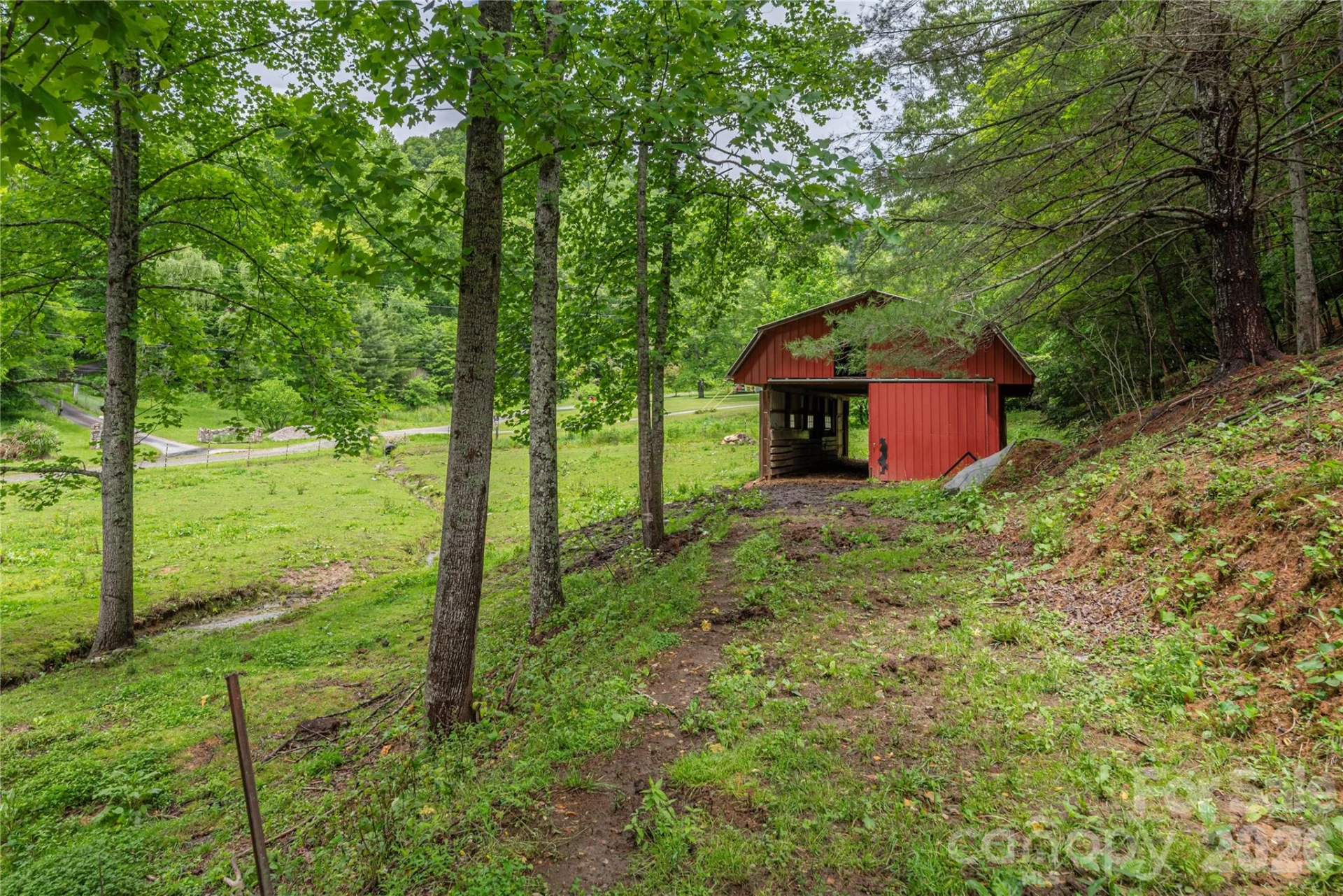 262 Gibson Branch Road - Photo 19