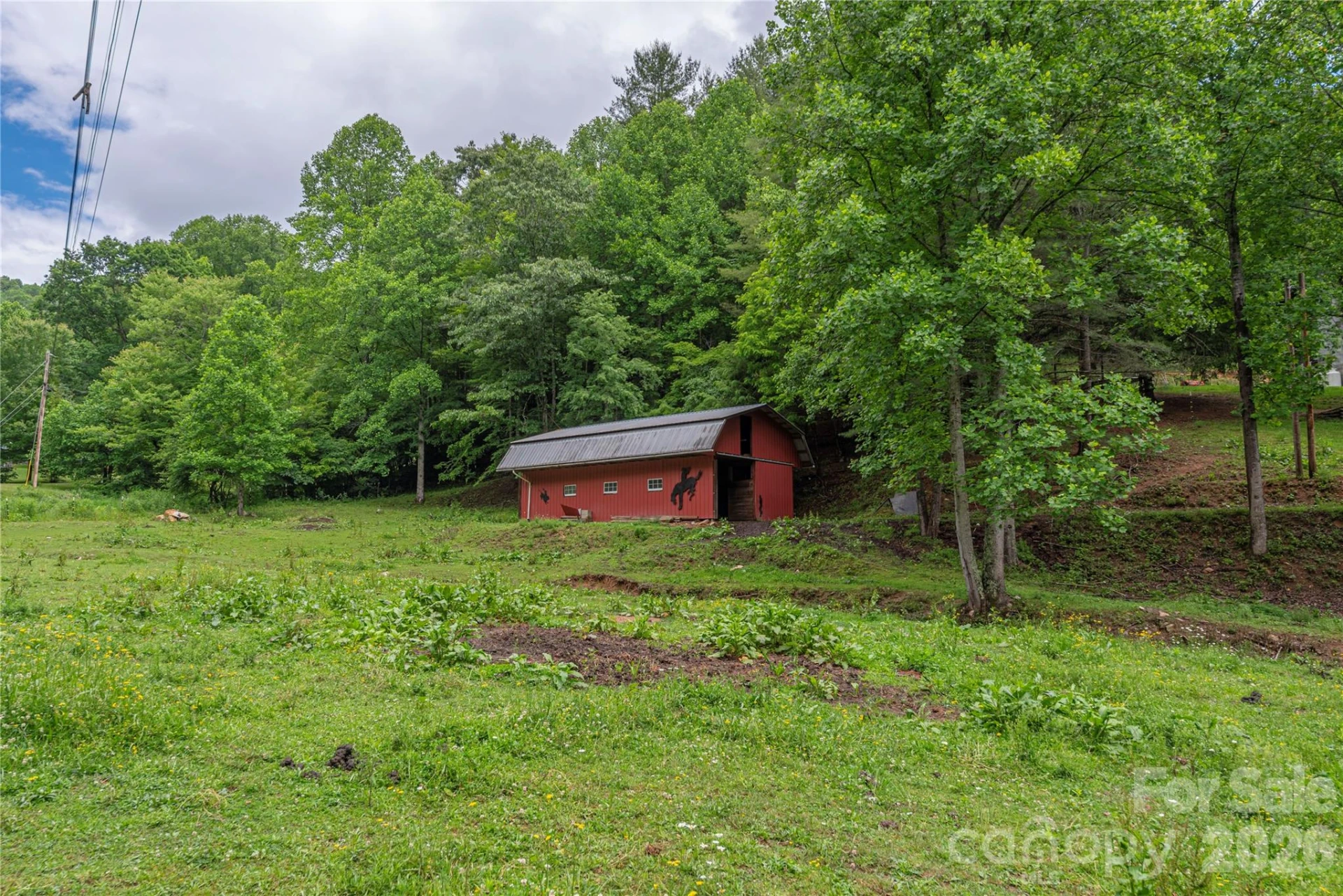 262 Gibson Branch Road - Photo 20
