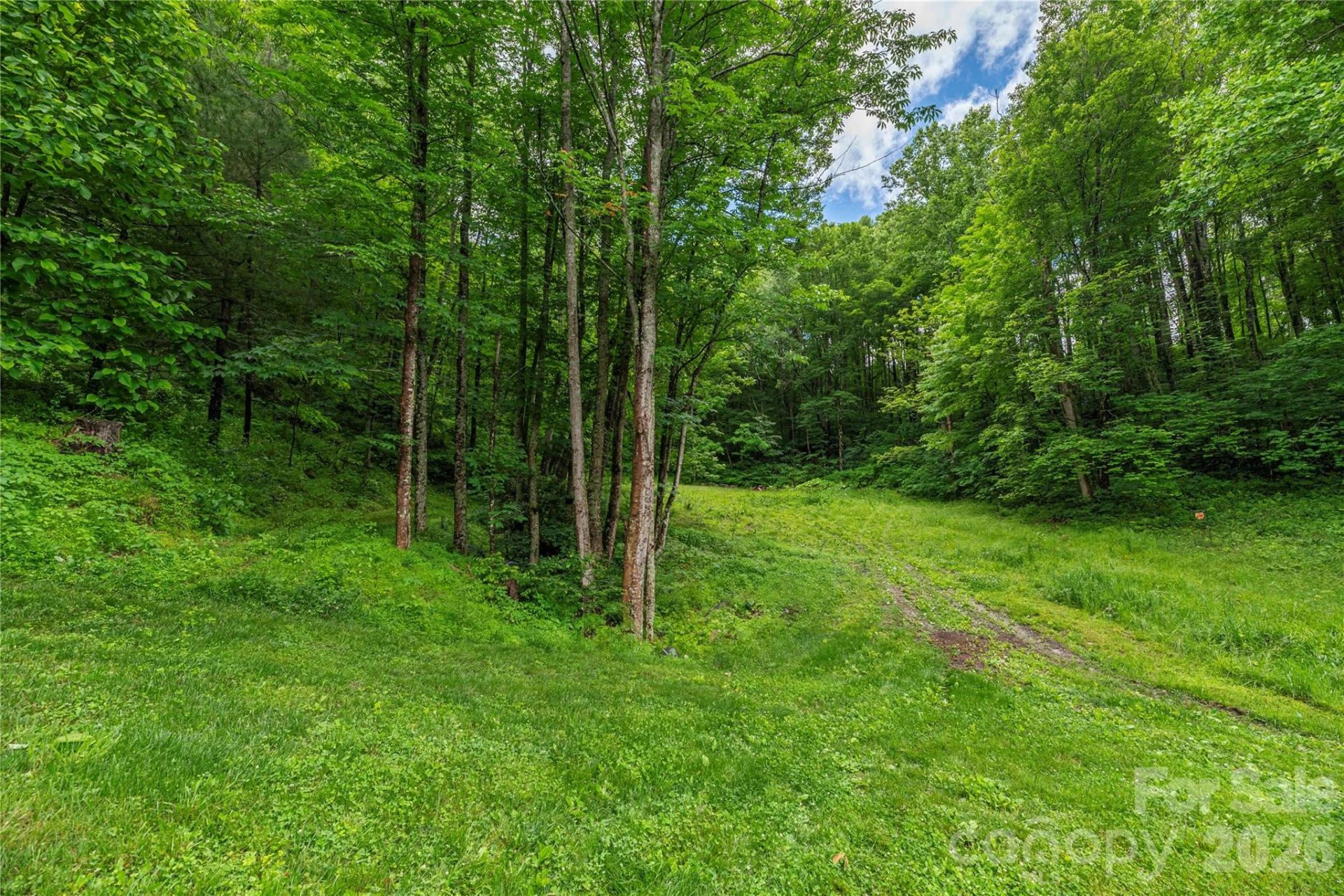 262 Gibson Branch Road - Photo 24