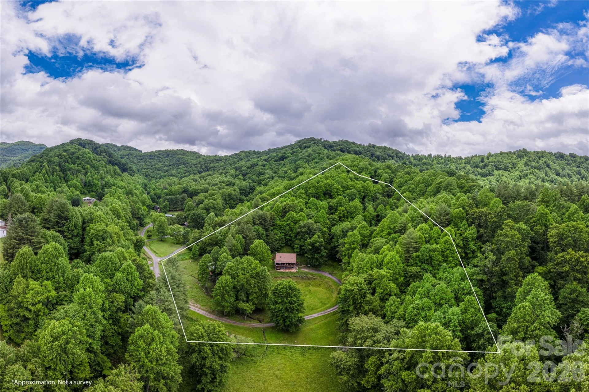 262 Gibson Branch Road - Photo 27