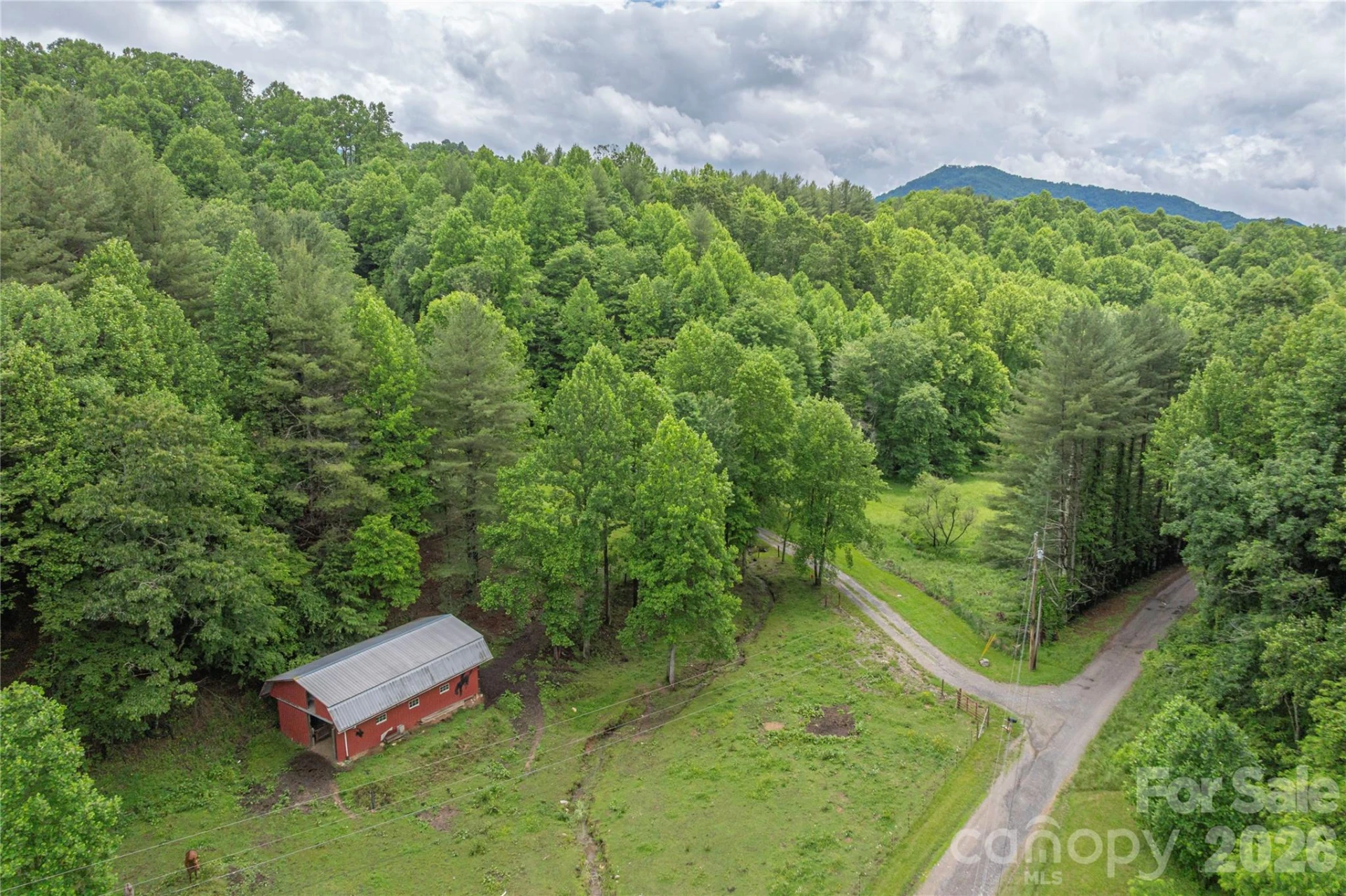262 Gibson Branch Road - Photo 28