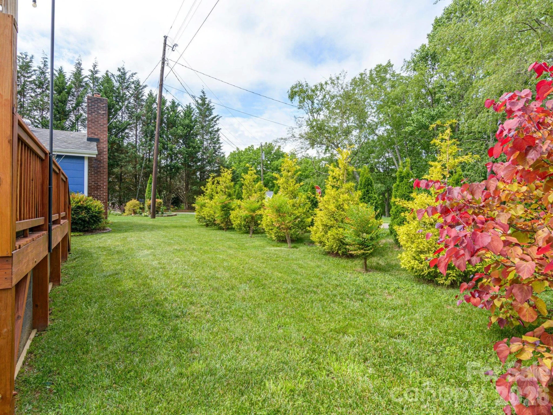 48 Hickory Tree Road - Photo 46