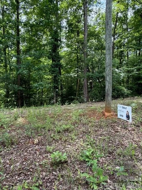 0 Country Way - Photo 3