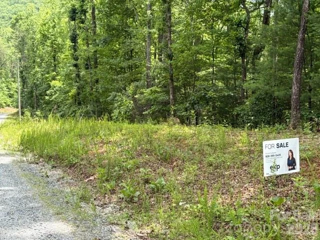 0 Pear tree Drive - Photo 2