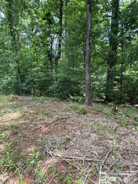 0 Pear tree Drive - Photo 6