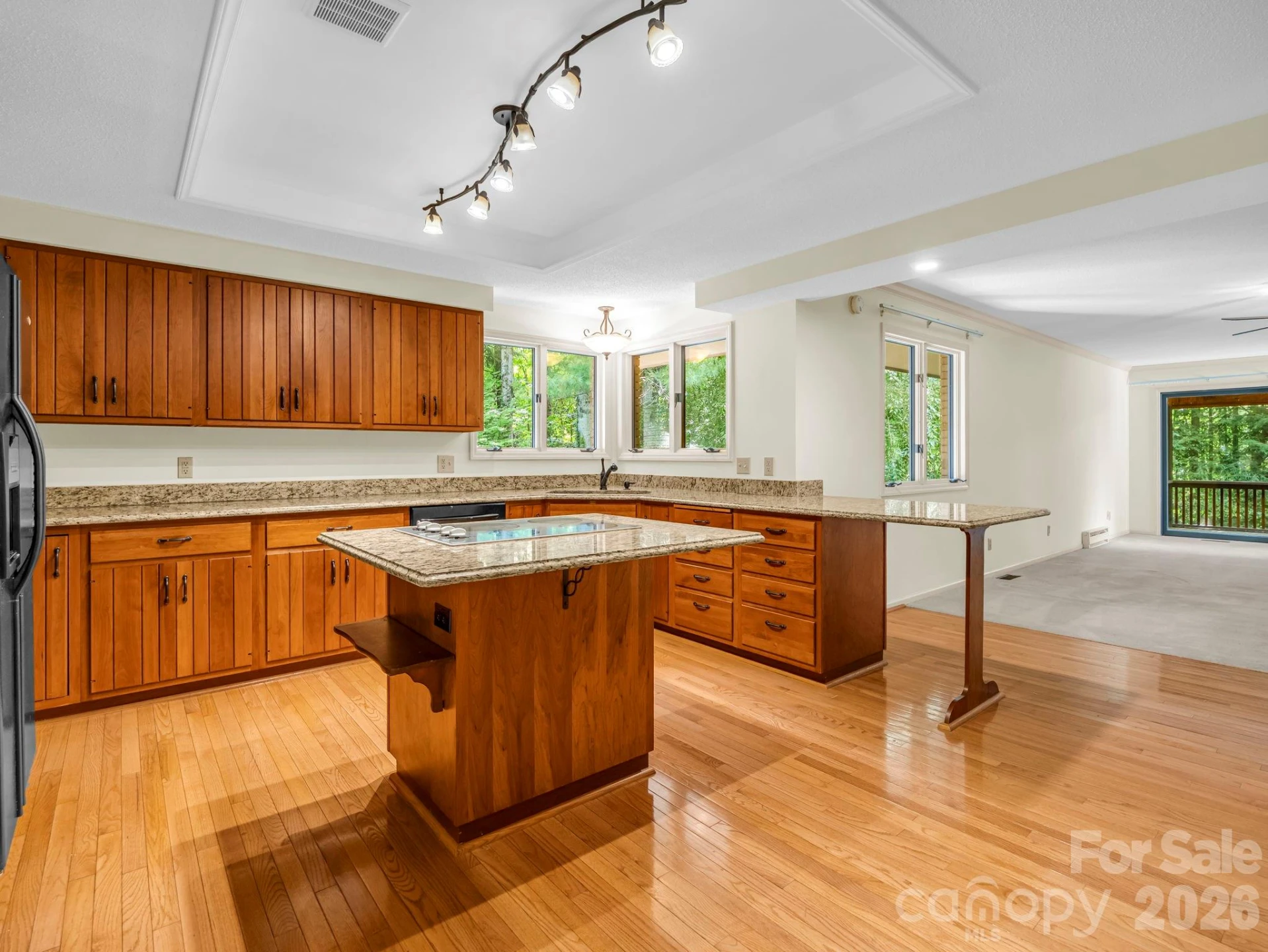 115 Woodhaven Drive - Photo 12